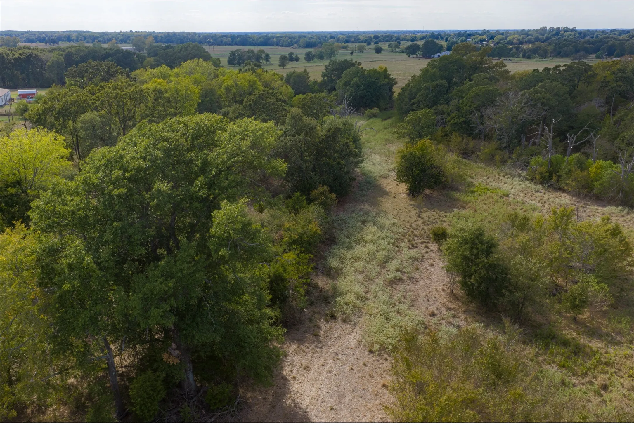 Unimproved Land For Sale in Van Zandt County , NW VZ County Road 3409, Wills Point, Texas 75169, 0, 0, Garage spaces, 0 Sqft, built in 0, mls#21406803, Real Estate Agent in Wills Point, Homes For Sale in Van Zandt county, Homes For Sale in Wills Point, Realtor in Wills Point Texas, Real Estate Brokerage Independent Realty Texas, Luminita Cordes Realtor