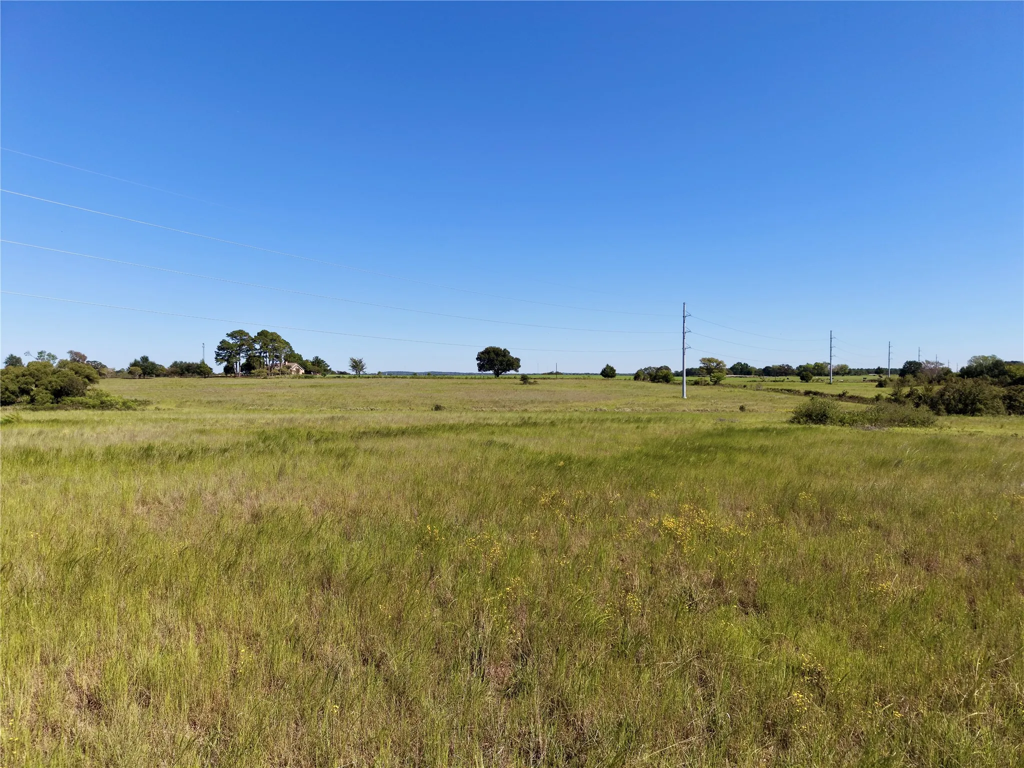 Ground-level view across grassy acreage with scattered trees.