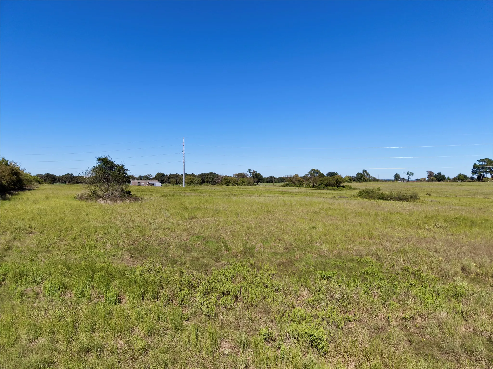 Open pasture with trees along the natural edges.