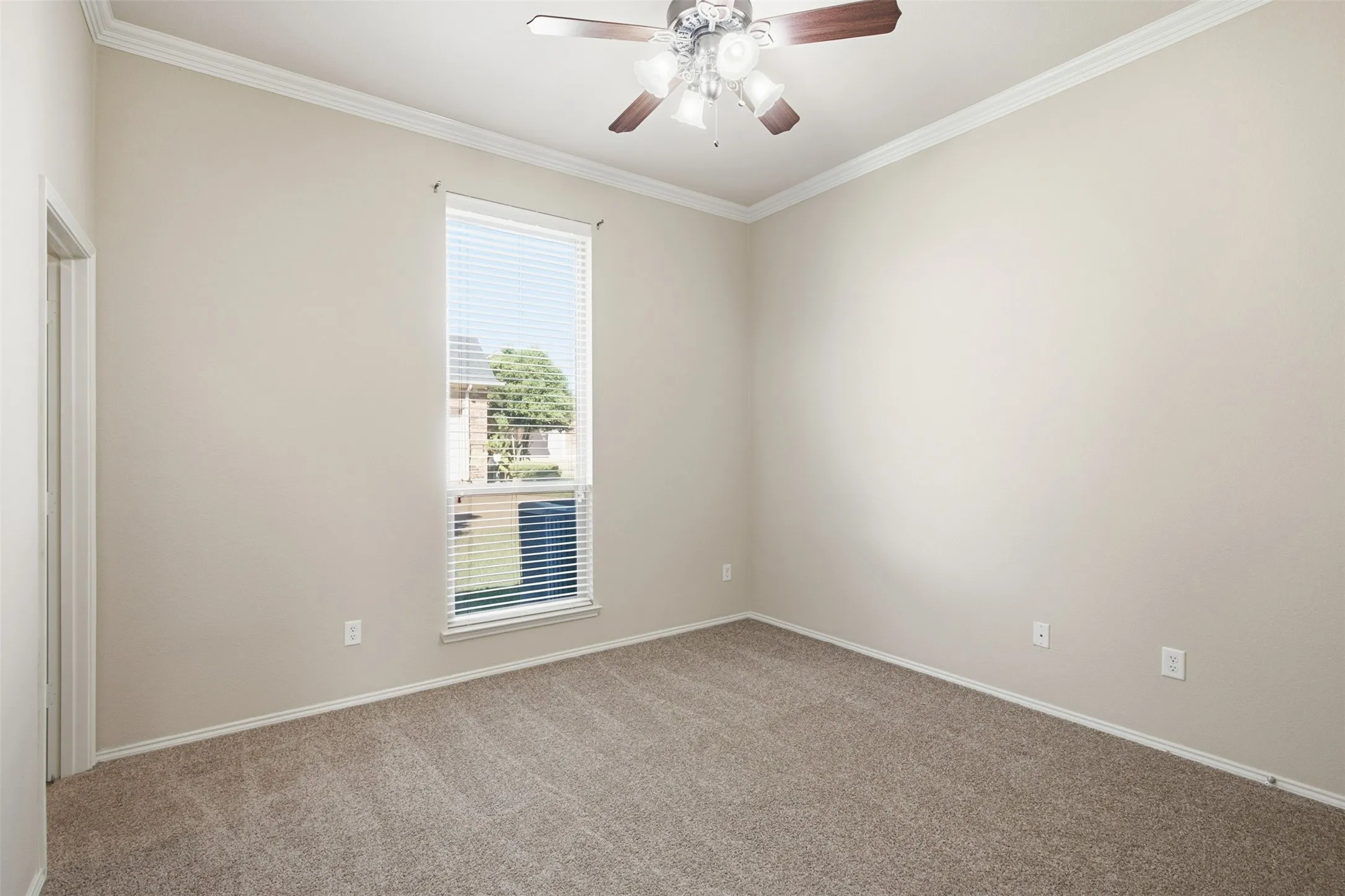 Carpeted flooring, crown molding, ceiling fan with light fixture, single window with blinds