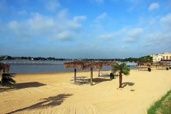 Sandy beach area with multiple palapa-style shade structures, picnic tables, and palm trees