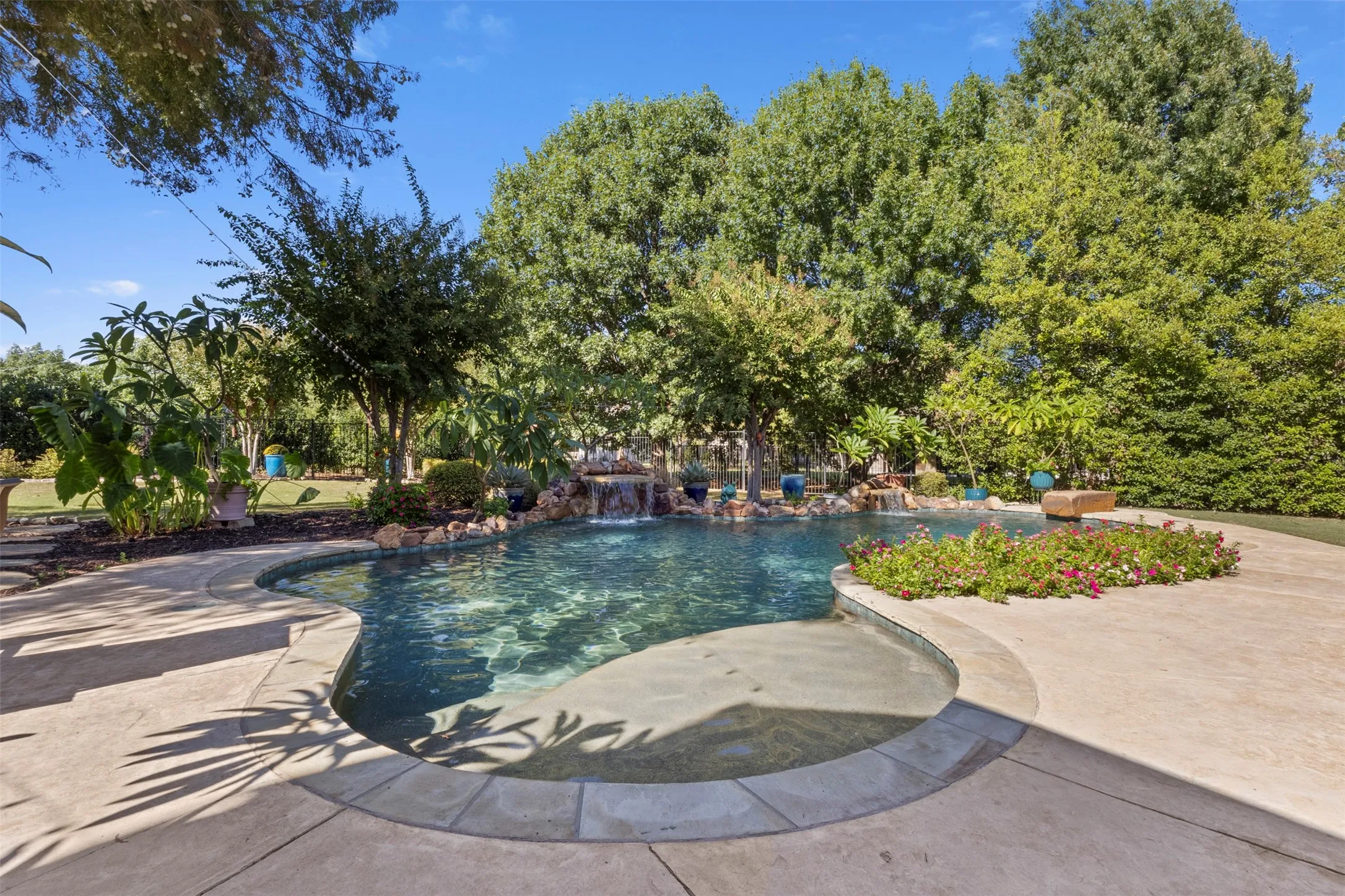 Curved concrete pool deck, custom-shaped swimming pool with integrated waterfall feature, surrounding landscaping, and mature trees