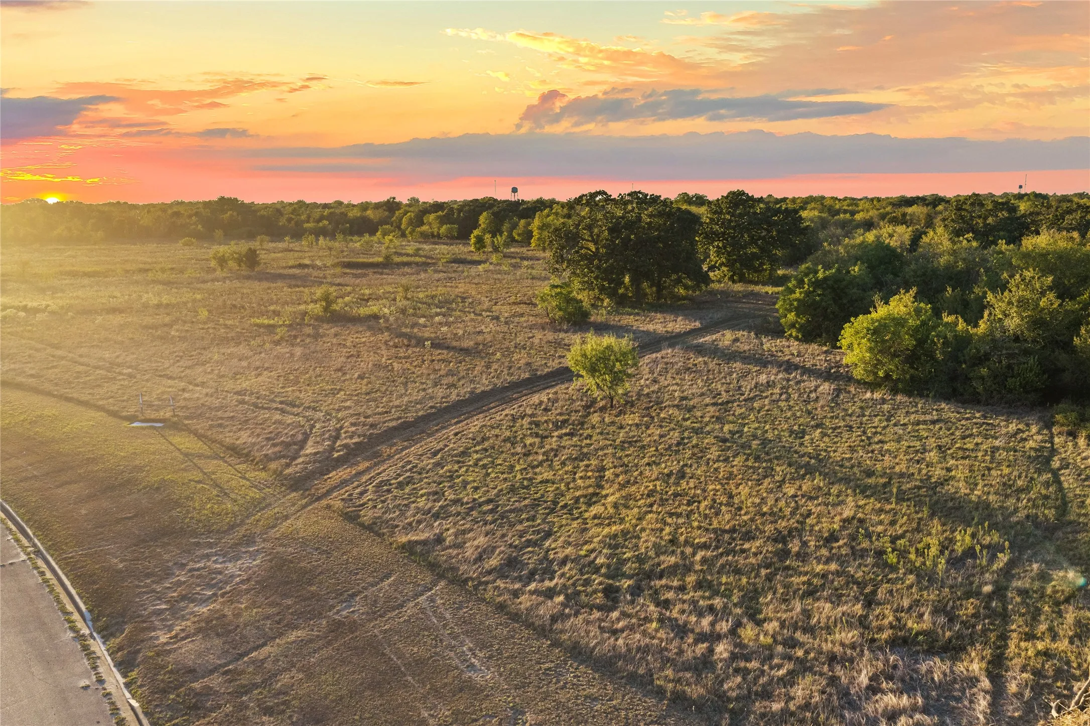 Expansive open terrain with natural grass, mature trees, and a visible road border