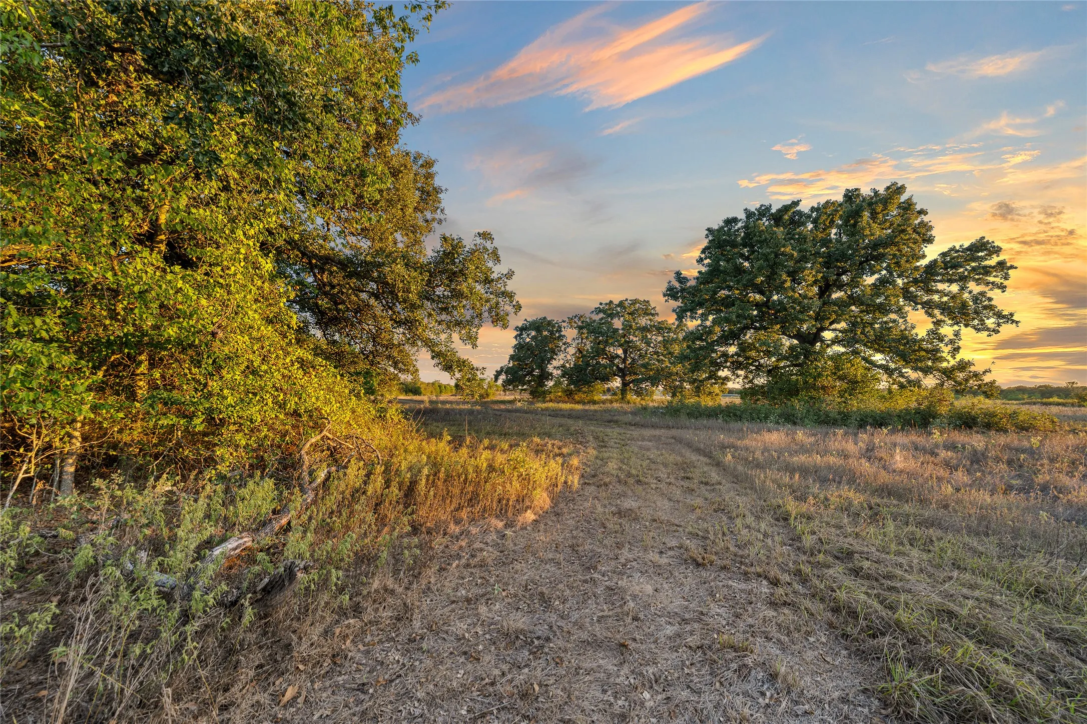 Expansive natural landscape with mature trees and open fields