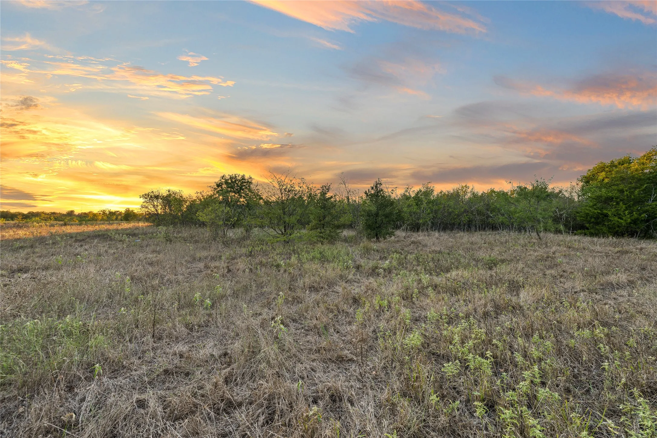 Expansive land parcel featuring open fields and mature trees