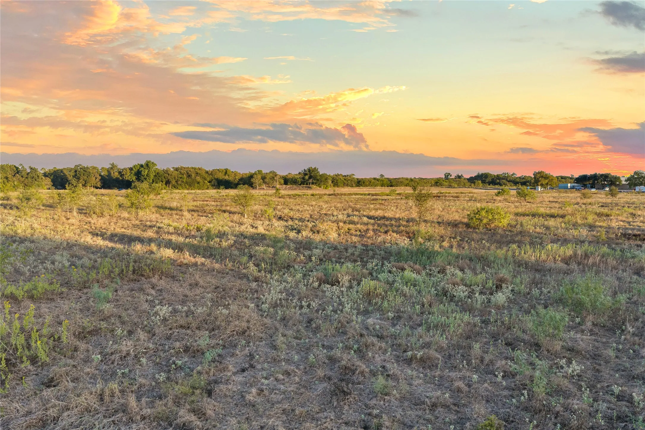 Expansive open field with scattered green foliage and distant tree lines