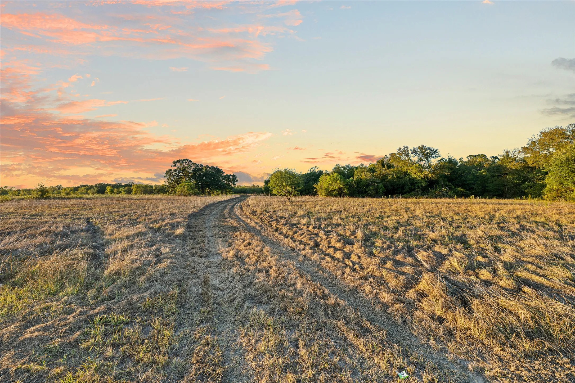 Expansive open field with natural vegetation and a visible path, bordered by mature trees