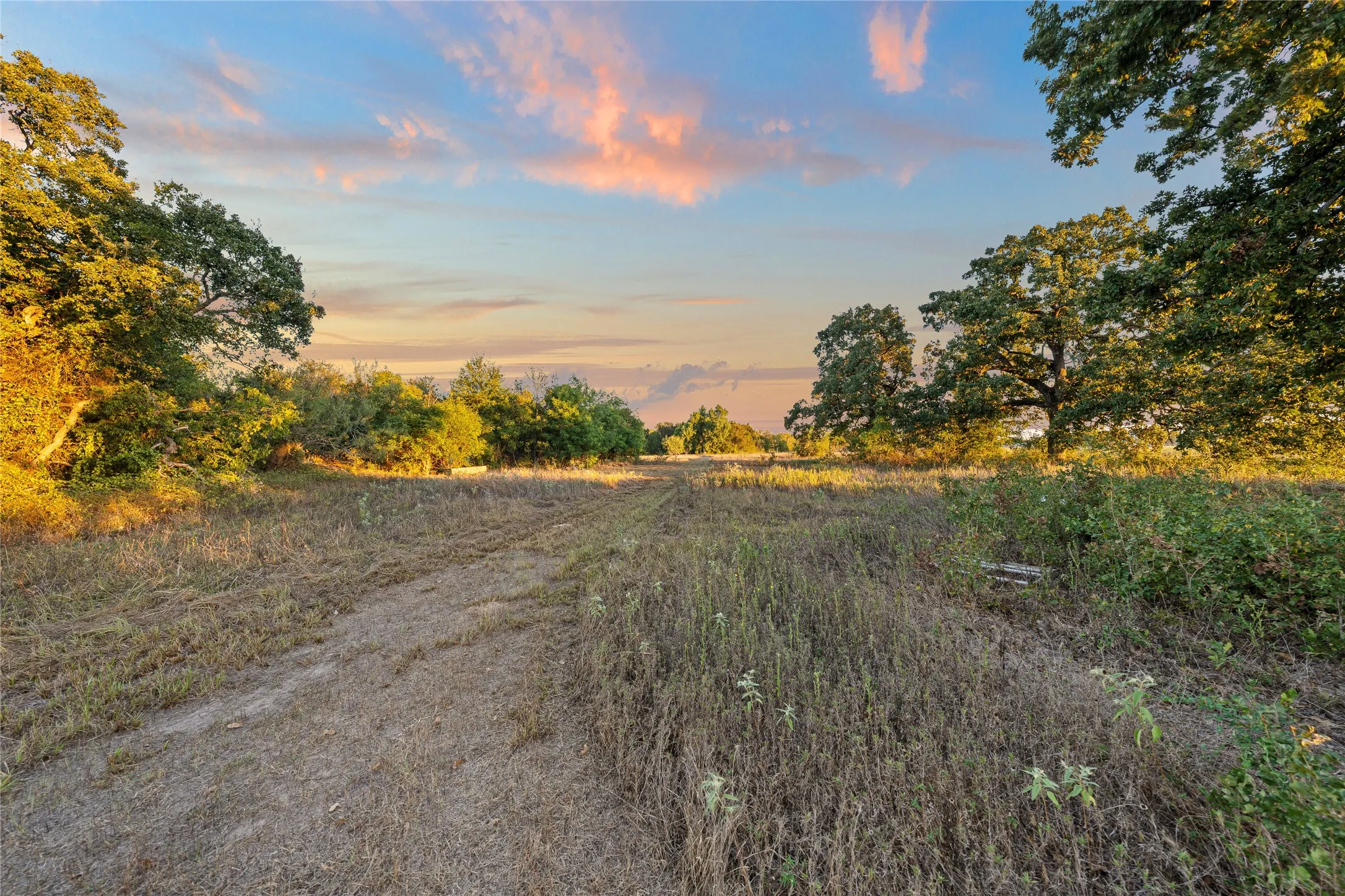Expansive undeveloped land featuring mature trees and established ground cover