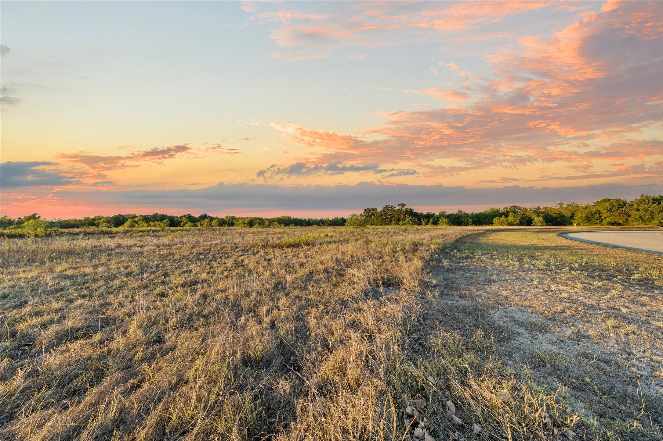 Expansive undeveloped land featuring natural grasses, a paved road, and a treeline in the distance