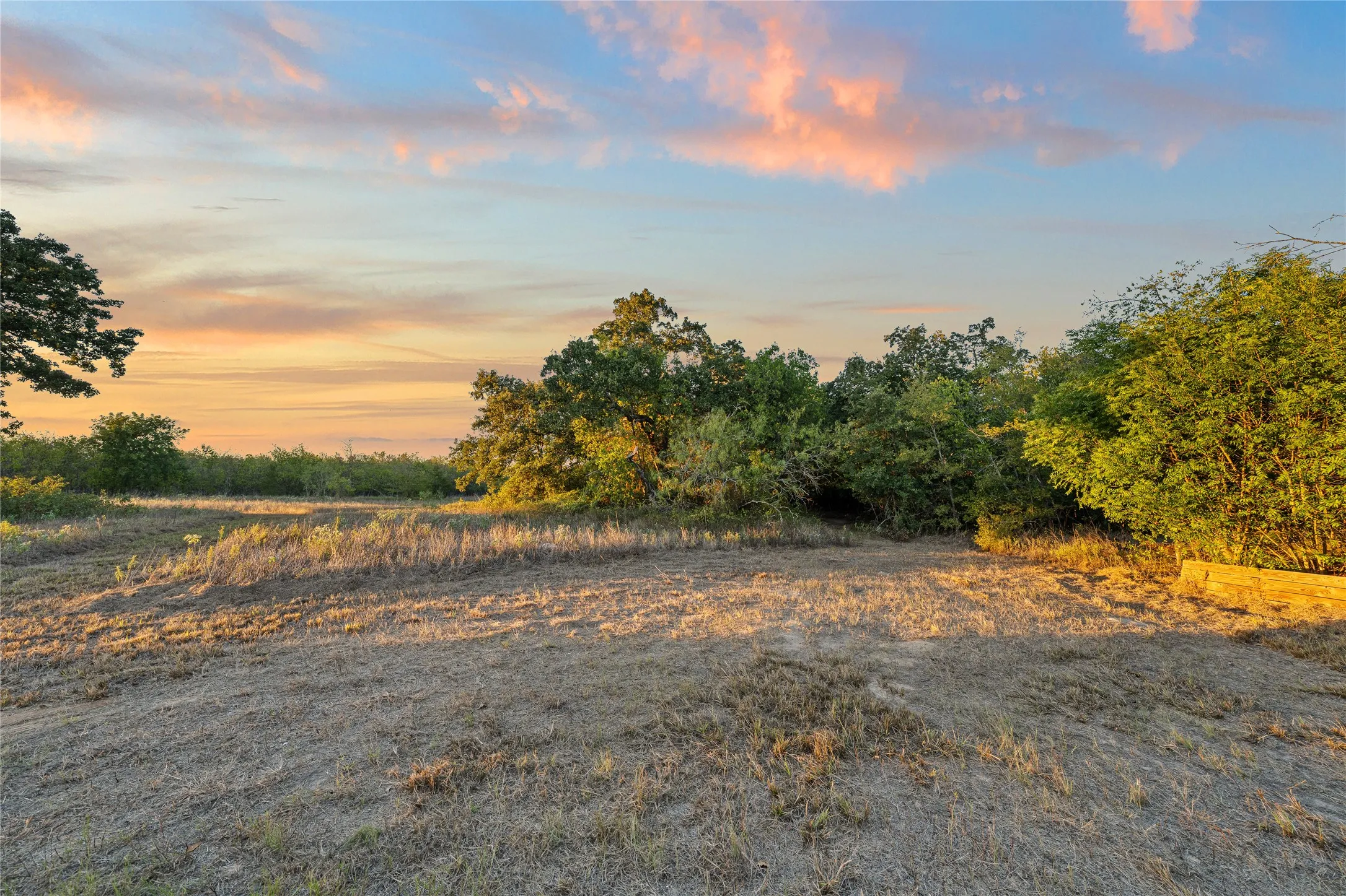 Expansive open land featuring mature trees and natural vegetation