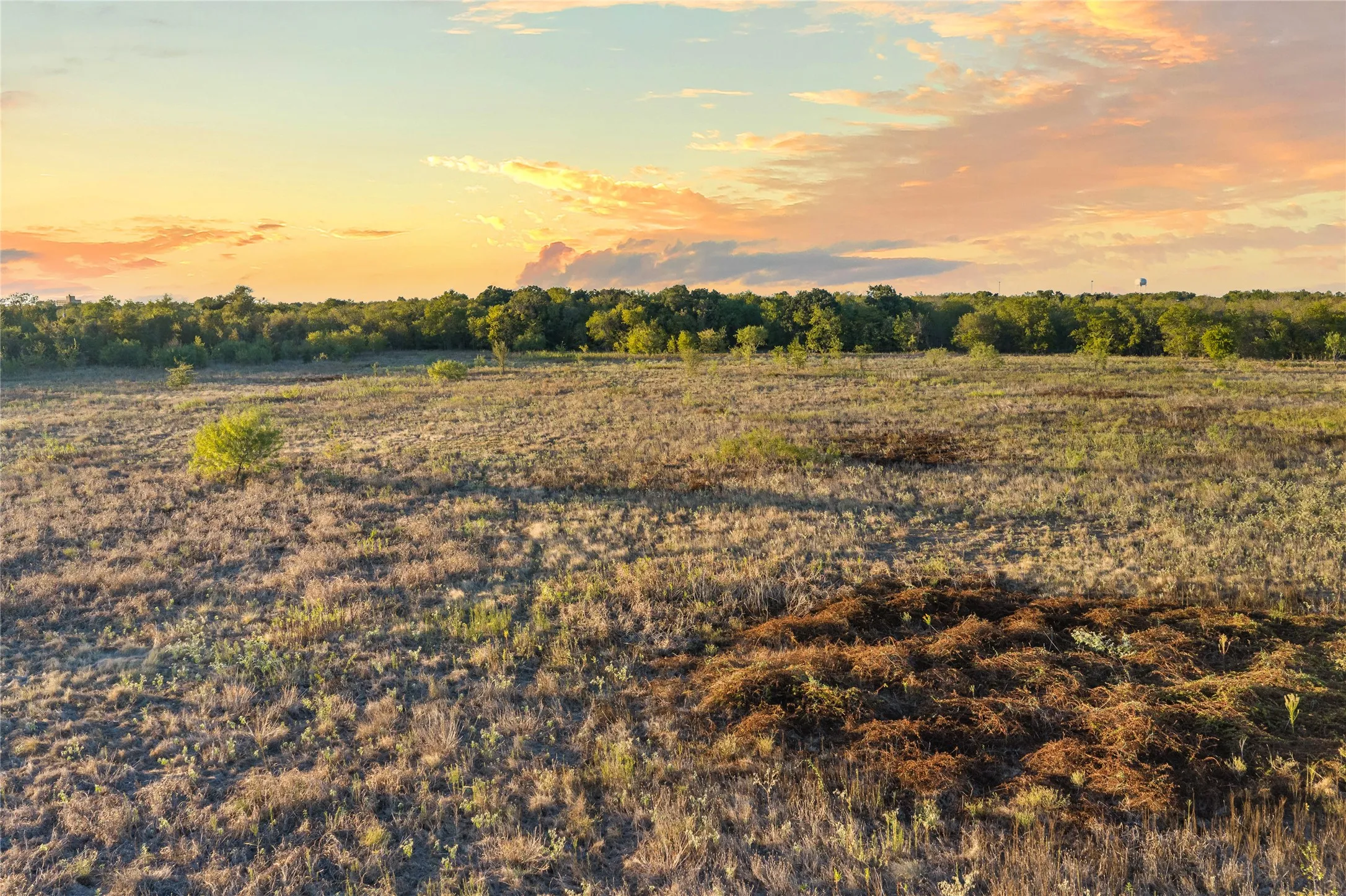 Expansive open land featuring diverse natural foliage and mature tree lines