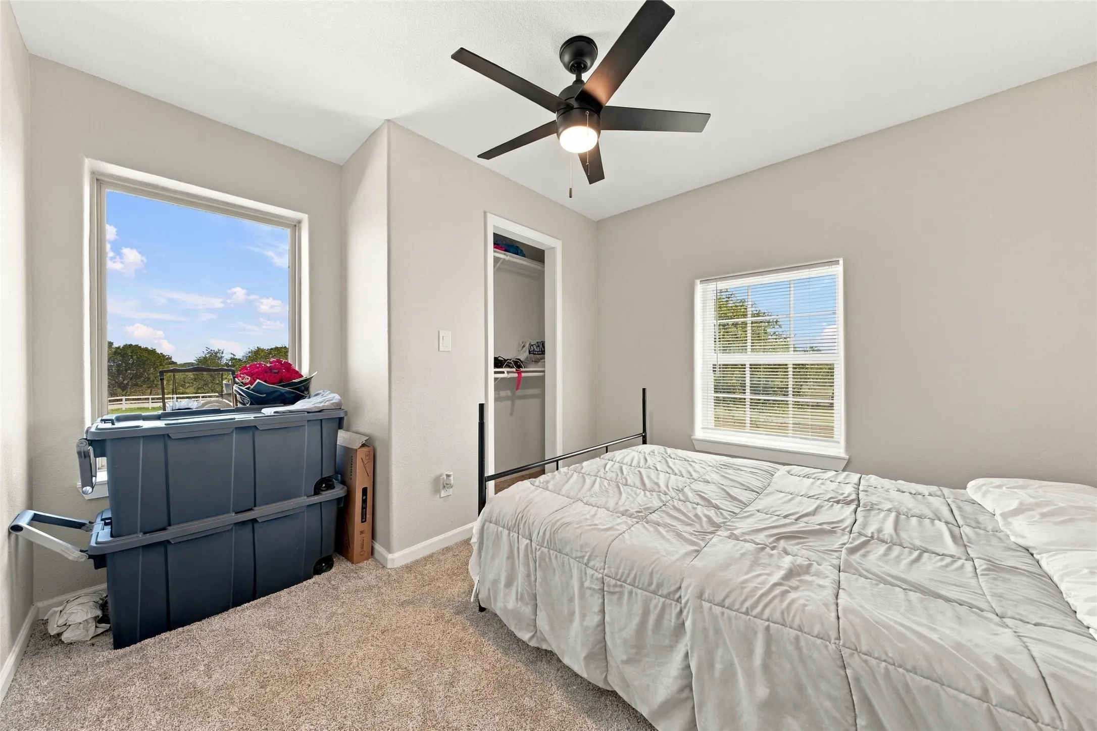 Plush carpet flooring, recessed closet, contemporary ceiling fan, and multiple windows providing natural light