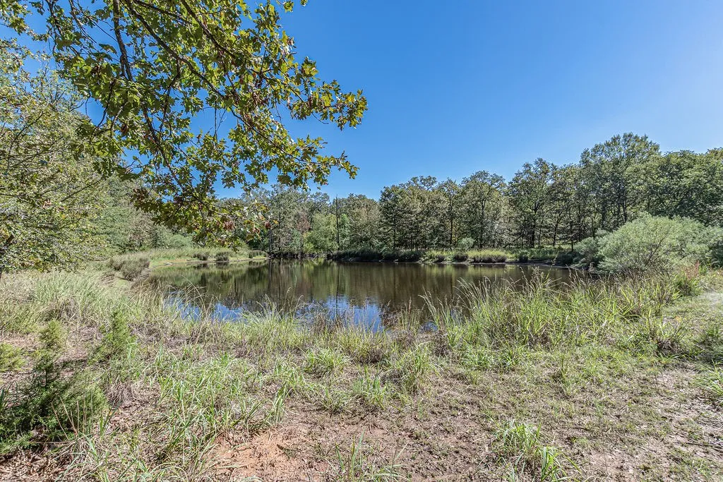 Single Family Residence For Sale in Rains County , 592 Rs County Road 1151, Emory, Texas 75440, 3 Bedroom, 2 Bathroom, 4 Garage spaces, 2,563 Sqft, built in 2012, mls#21406122, Real Estate Agent in Emory, Homes For Sale in Rains county, Homes For Sale in Emory, Realtor in Emory Texas, Real Estate Brokerage Independent Realty Texas, Luminita Cordes Realtor