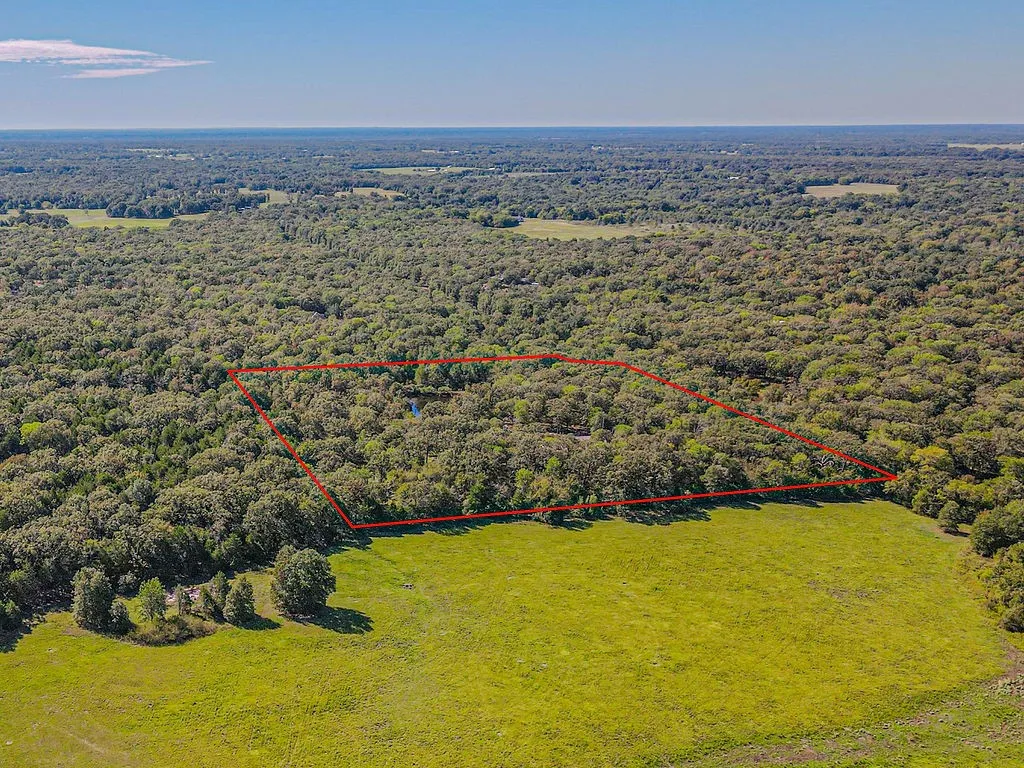 Expansive wooded property with defined boundaries and cleared pastureland