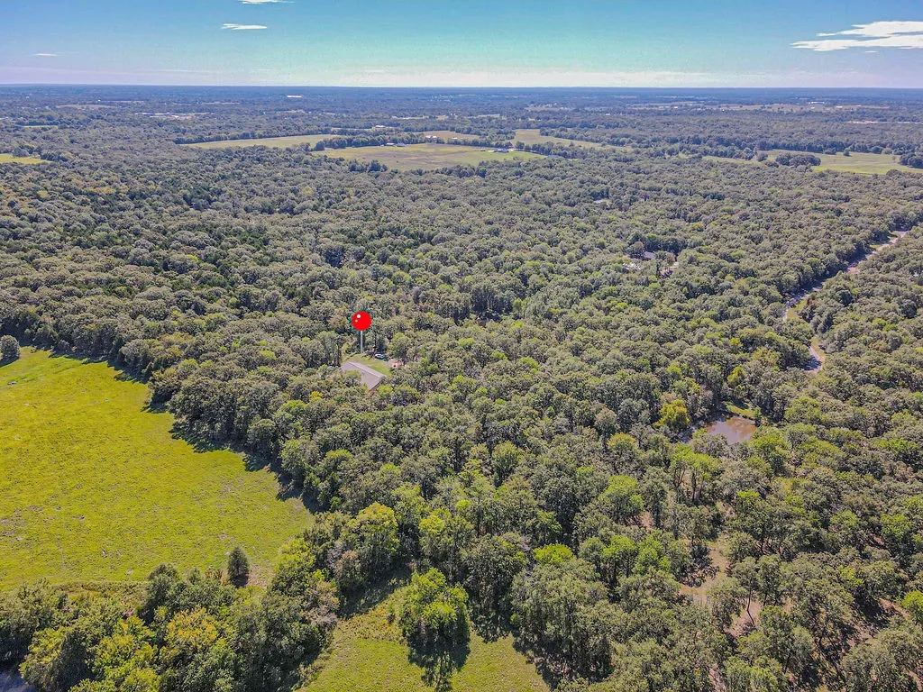 Expansive wooded acreage with a cleared building site and established access road