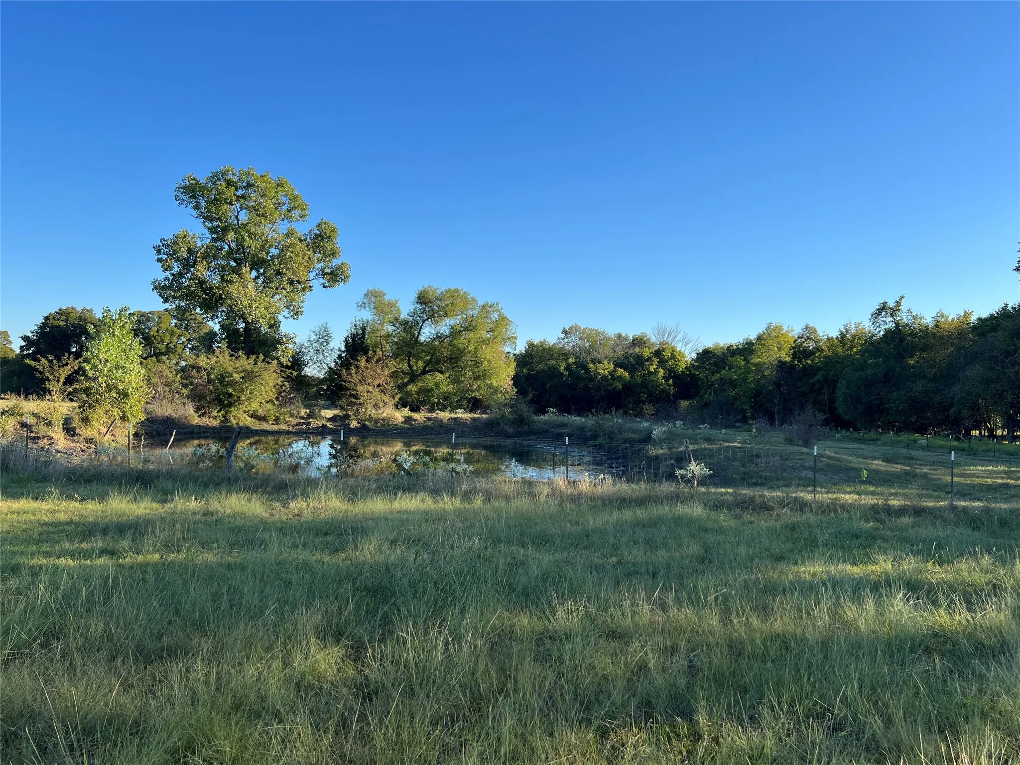 Stock tank at rear of property