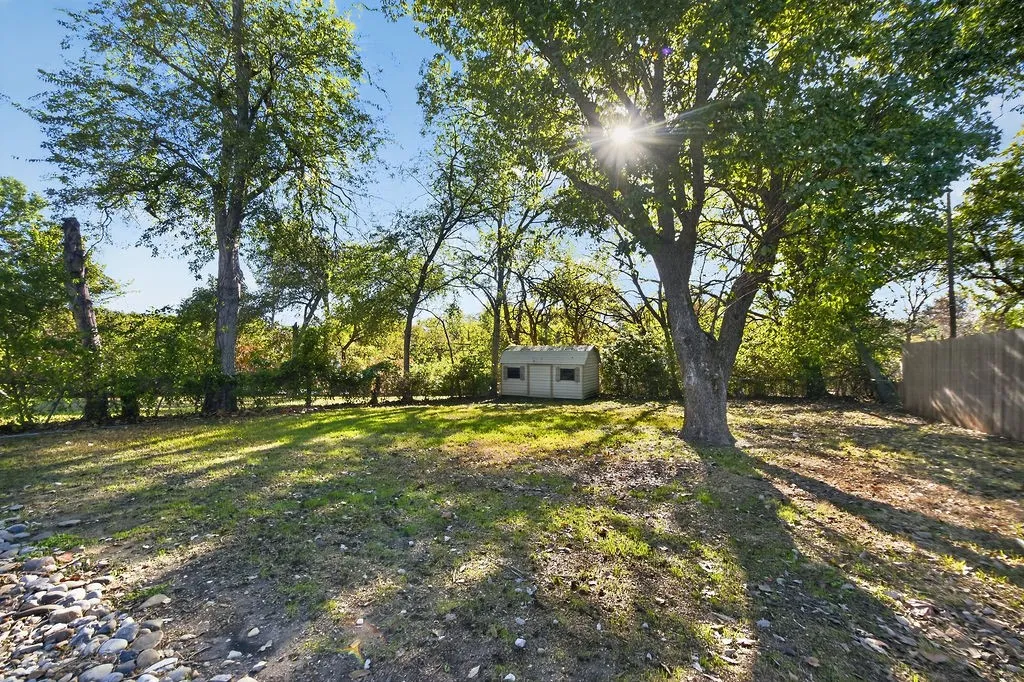 Expansive backyard with a manicured lawn, mature trees, and a functional storage shed