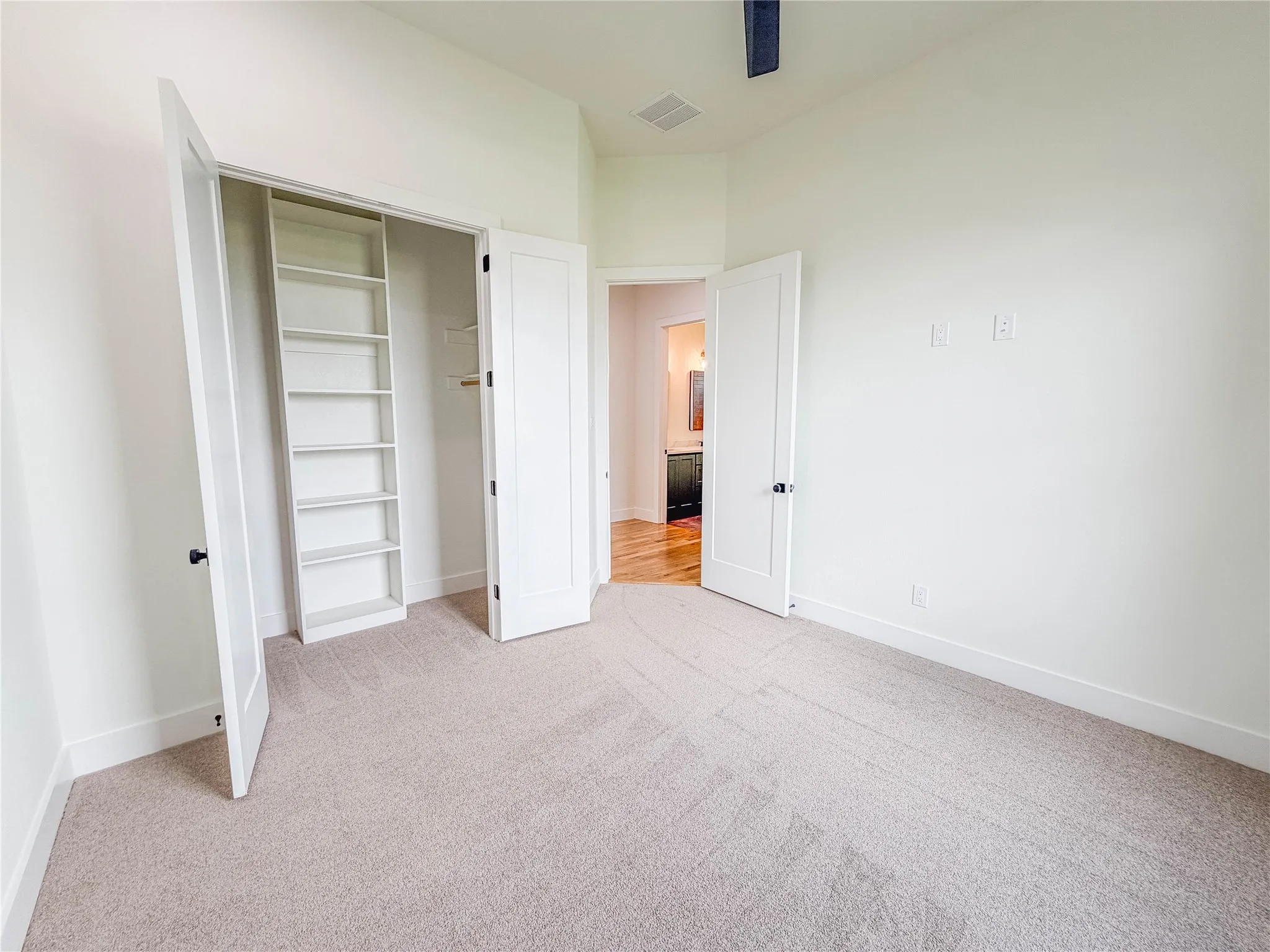 Plush carpeted flooring, built-in shelving, white paneled doors, and painted white walls