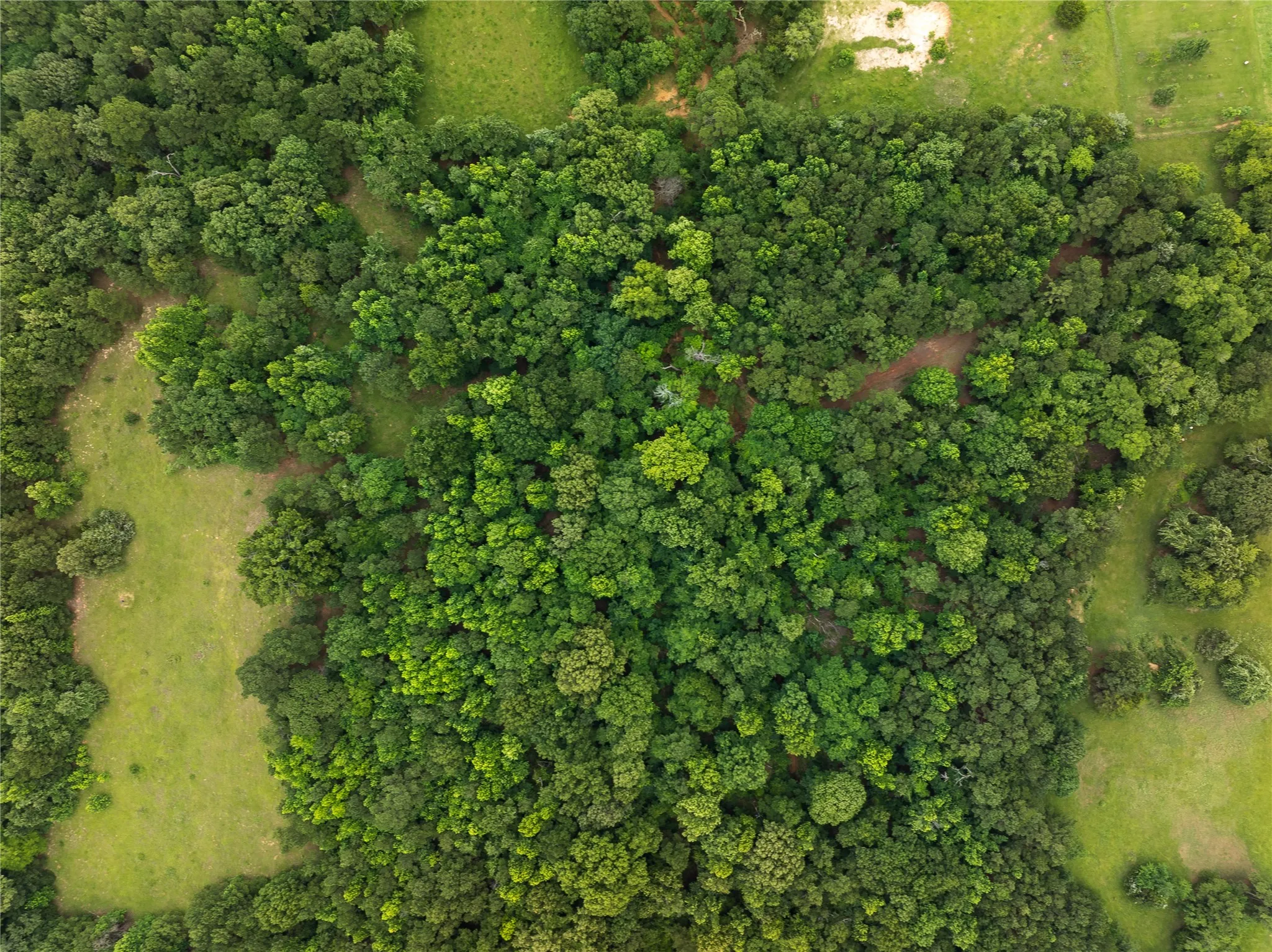 Improved Land For Sale in Anderson County , 519 An County Rd 450, Palestine, Texas 75803, 0, 0, Garage spaces, 0 Sqft, built in 1962, mls#21406968, Real Estate Agent in Palestine, Homes For Sale in Anderson county, Homes For Sale in Palestine, Realtor in Palestine Texas, Real Estate Brokerage Independent Realty Texas, Luminita Cordes Realtor