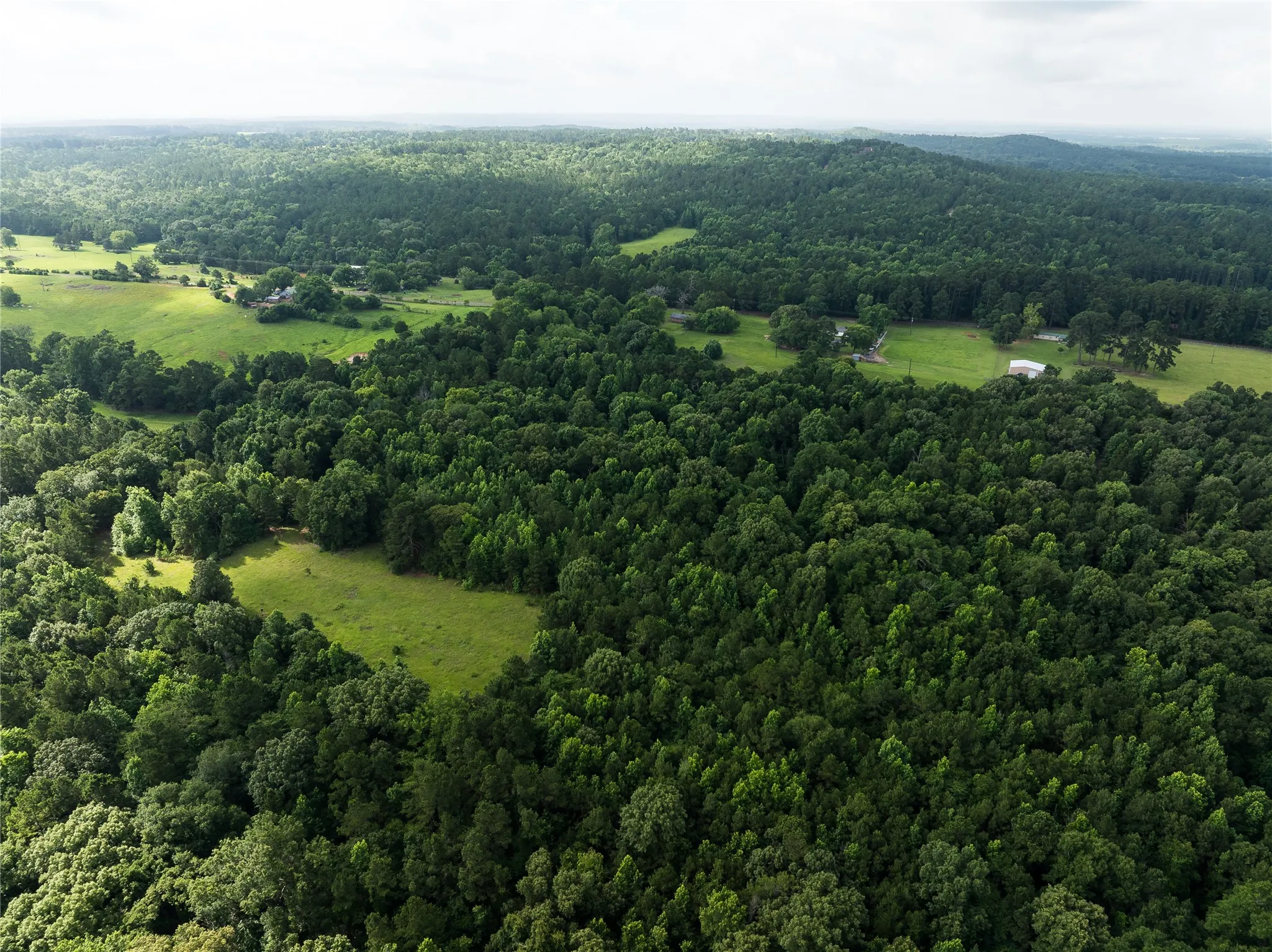 Improved Land For Sale in Anderson County , 519 An County Rd 450, Palestine, Texas 75803, 0, 0, Garage spaces, 0 Sqft, built in 1962, mls#21406968, Real Estate Agent in Palestine, Homes For Sale in Anderson county, Homes For Sale in Palestine, Realtor in Palestine Texas, Real Estate Brokerage Independent Realty Texas, Luminita Cordes Realtor