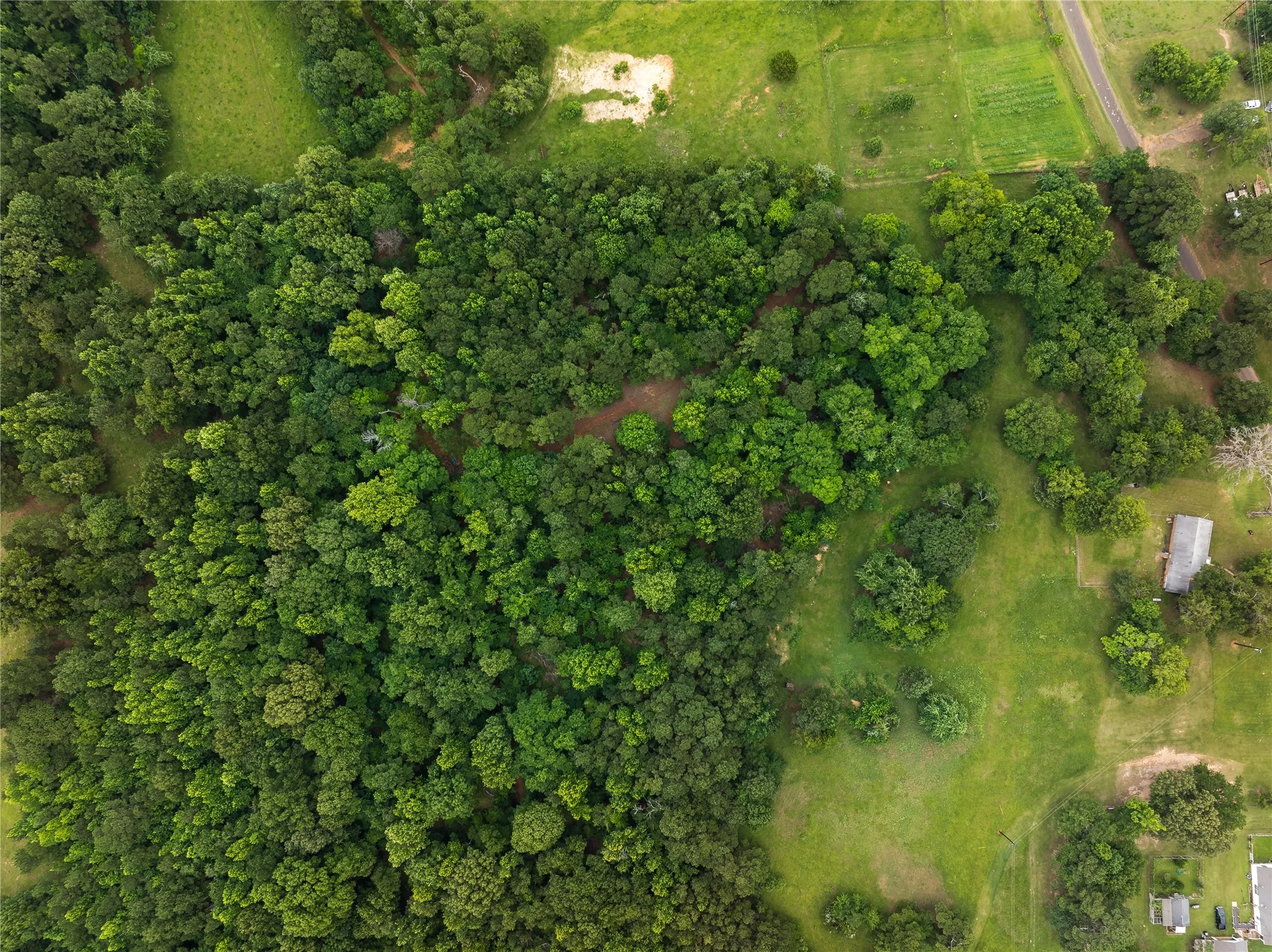 Improved Land For Sale in Anderson County , 519 An County Rd 450, Palestine, Texas 75803, 0, 0, Garage spaces, 0 Sqft, built in 1962, mls#21406968, Real Estate Agent in Palestine, Homes For Sale in Anderson county, Homes For Sale in Palestine, Realtor in Palestine Texas, Real Estate Brokerage Independent Realty Texas, Luminita Cordes Realtor
