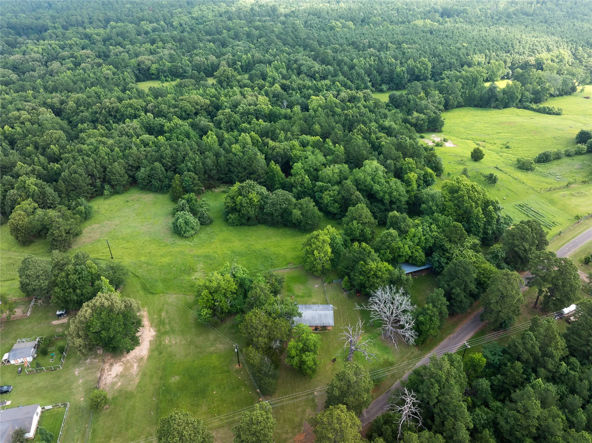 Improved Land For Sale in Anderson County , 519 An County Rd 450, Palestine, Texas 75803, 0, 0, Garage spaces, 0 Sqft, built in 1962, mls#21406968, Real Estate Agent in Palestine, Homes For Sale in Anderson county, Homes For Sale in Palestine, Realtor in Palestine Texas, Real Estate Brokerage Independent Realty Texas, Luminita Cordes Realtor