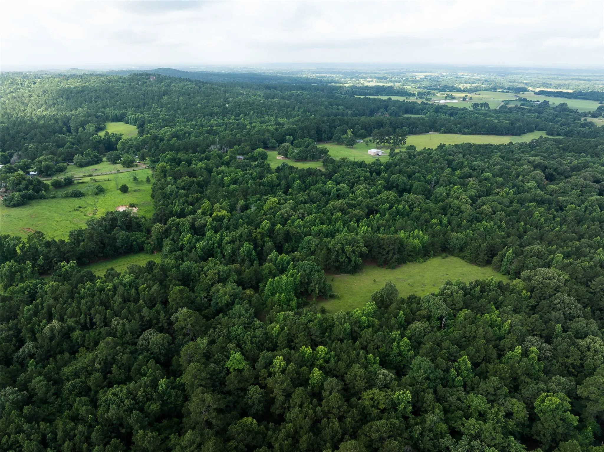 Improved Land For Sale in Anderson County , 519 An County Rd 450, Palestine, Texas 75803, 0, 0, Garage spaces, 0 Sqft, built in 1962, mls#21406968, Real Estate Agent in Palestine, Homes For Sale in Anderson county, Homes For Sale in Palestine, Realtor in Palestine Texas, Real Estate Brokerage Independent Realty Texas, Luminita Cordes Realtor