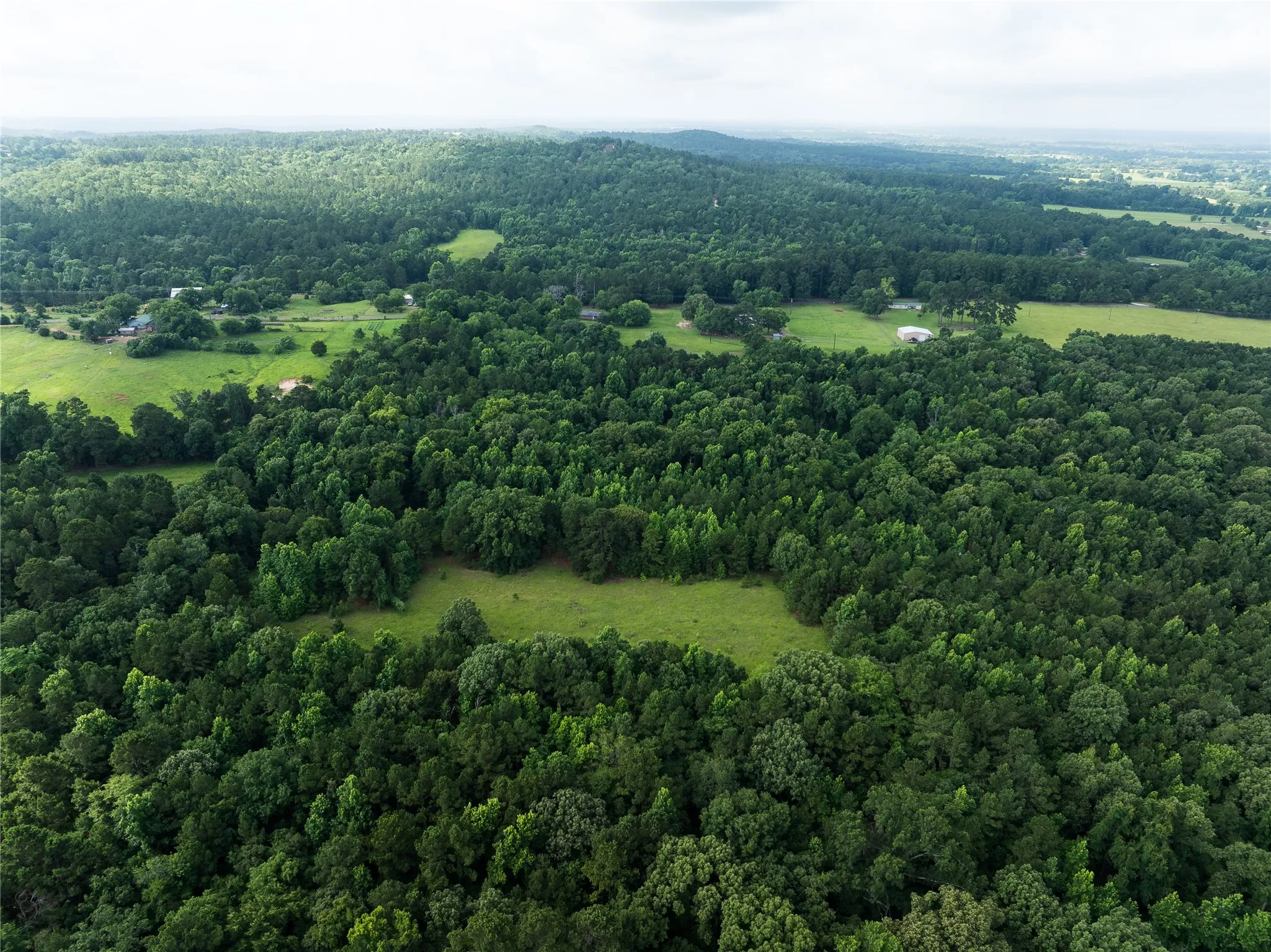 Improved Land For Sale in Anderson County , 519 An County Rd 450, Palestine, Texas 75803, 0, 0, Garage spaces, 0 Sqft, built in 1962, mls#21406968, Real Estate Agent in Palestine, Homes For Sale in Anderson county, Homes For Sale in Palestine, Realtor in Palestine Texas, Real Estate Brokerage Independent Realty Texas, Luminita Cordes Realtor