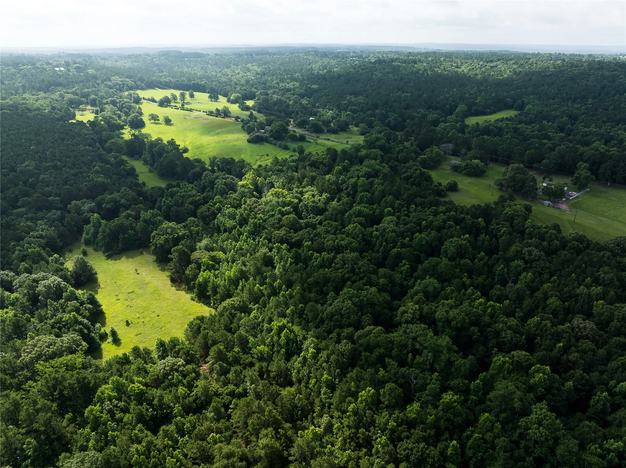 Improved Land For Sale in Anderson County , 519 An County Rd 450, Palestine, Texas 75803, 0, 0, Garage spaces, 0 Sqft, built in 1962, mls#21406968, Real Estate Agent in Palestine, Homes For Sale in Anderson county, Homes For Sale in Palestine, Realtor in Palestine Texas, Real Estate Brokerage Independent Realty Texas, Luminita Cordes Realtor