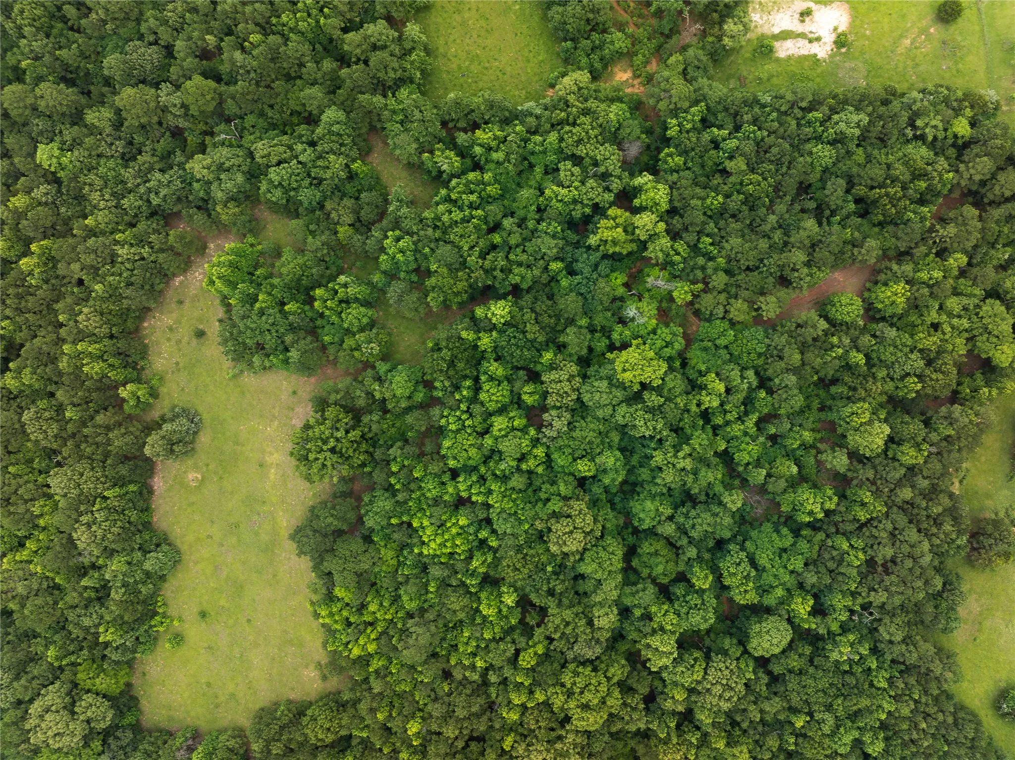 Improved Land For Sale in Anderson County , 519 An County Rd 450, Palestine, Texas 75803, 0, 0, Garage spaces, 0 Sqft, built in 1962, mls#21406968, Real Estate Agent in Palestine, Homes For Sale in Anderson county, Homes For Sale in Palestine, Realtor in Palestine Texas, Real Estate Brokerage Independent Realty Texas, Luminita Cordes Realtor