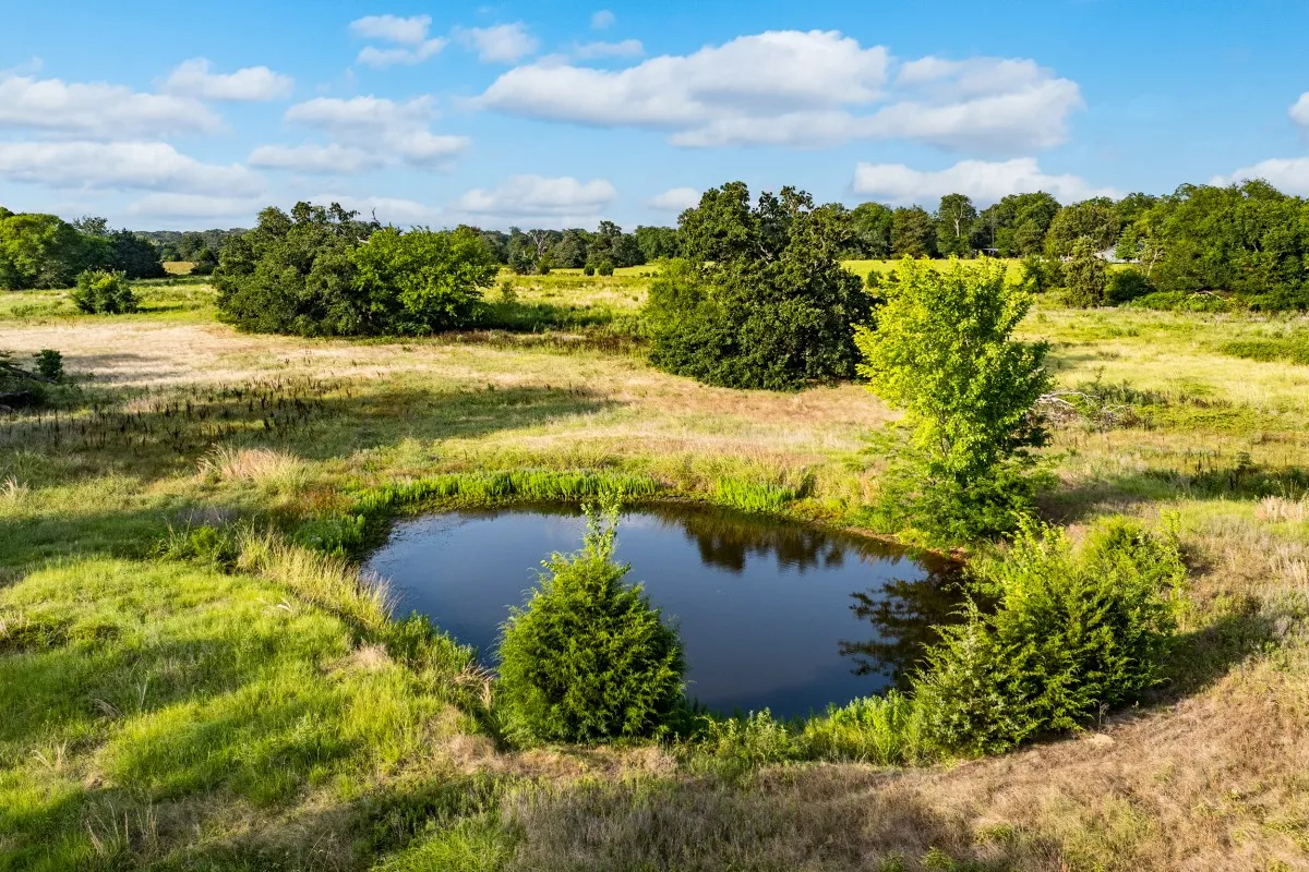 Unimproved Land For Sale in Van Zandt County , TBD State Highway 110, Van, Texas 75790, 0, 0, Garage spaces, 0 Sqft, built in 0, mls#21407057, Real Estate Agent in Van, Homes For Sale in Van Zandt county, Homes For Sale in Van, Realtor in Van Texas, Real Estate Brokerage Independent Realty Texas, Luminita Cordes Realtor