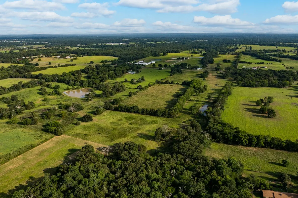 Unimproved Land For Sale in Van Zandt County , TBD State Highway 110, Van, Texas 75790, 0, 0, Garage spaces, 0 Sqft, built in 0, mls#21407057, Real Estate Agent in Van, Homes For Sale in Van Zandt county, Homes For Sale in Van, Realtor in Van Texas, Real Estate Brokerage Independent Realty Texas, Luminita Cordes Realtor