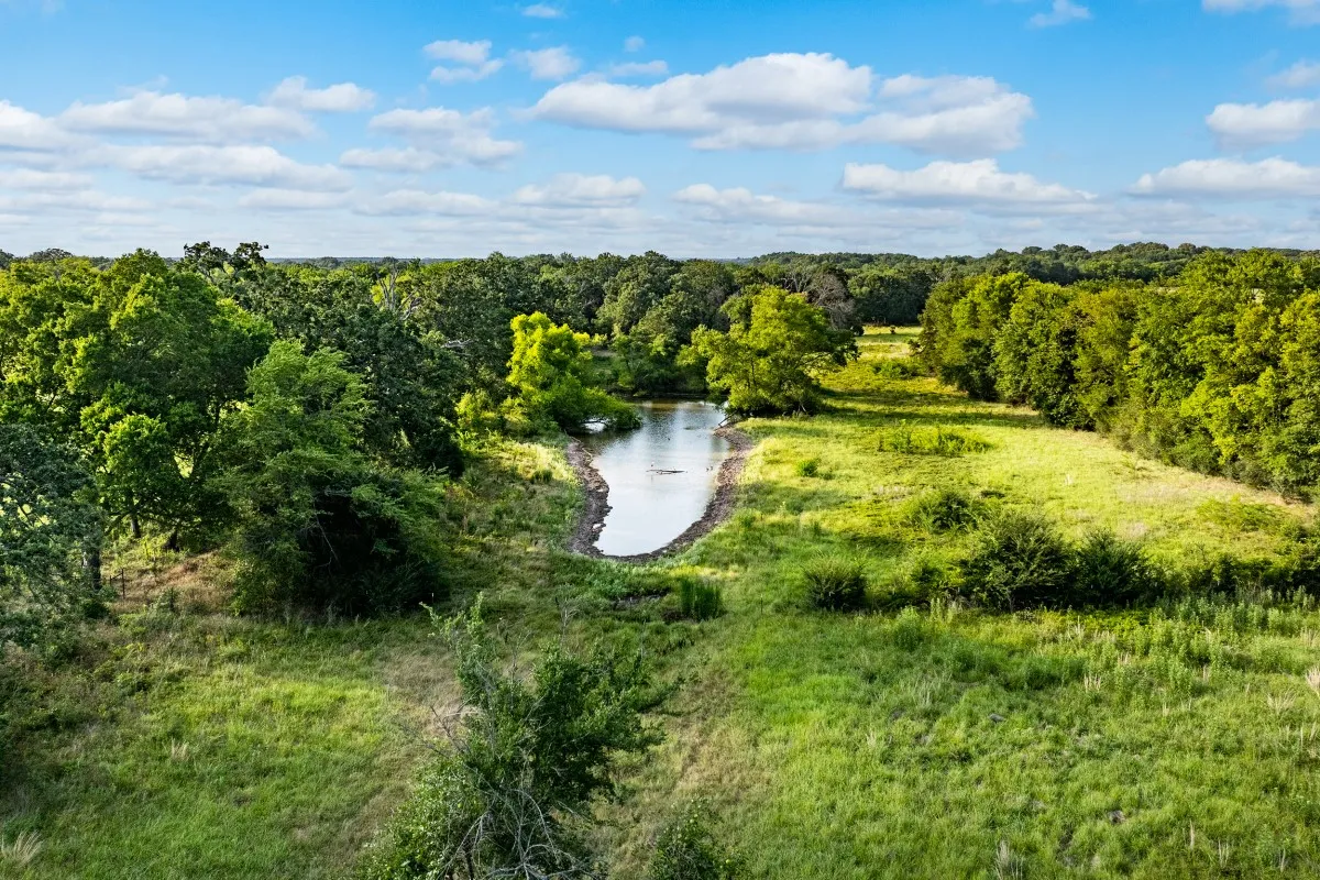 Unimproved Land For Sale in Van Zandt County , TBD State Highway 110, Van, Texas 75790, 0, 0, Garage spaces, 0 Sqft, built in 0, mls#21407057, Real Estate Agent in Van, Homes For Sale in Van Zandt county, Homes For Sale in Van, Realtor in Van Texas, Real Estate Brokerage Independent Realty Texas, Luminita Cordes Realtor
