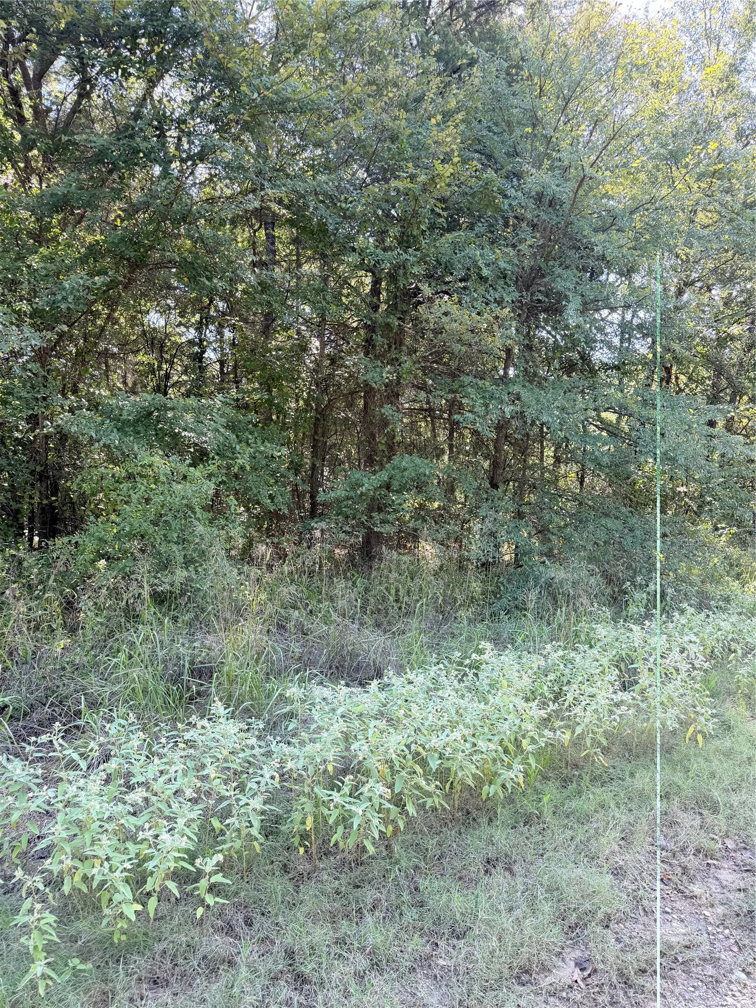 Unimproved Land For Sale in Henderson County , 106 Longhorn Road, Mabank, Texas 75156, 0, 0, Garage spaces, 0 Sqft, built in 0, mls#21407054, Real Estate Agent in Mabank, Homes For Sale in Henderson county, Homes For Sale in Mabank, Realtor in Mabank Texas, Real Estate Brokerage Independent Realty Texas, Luminita Cordes Realtor