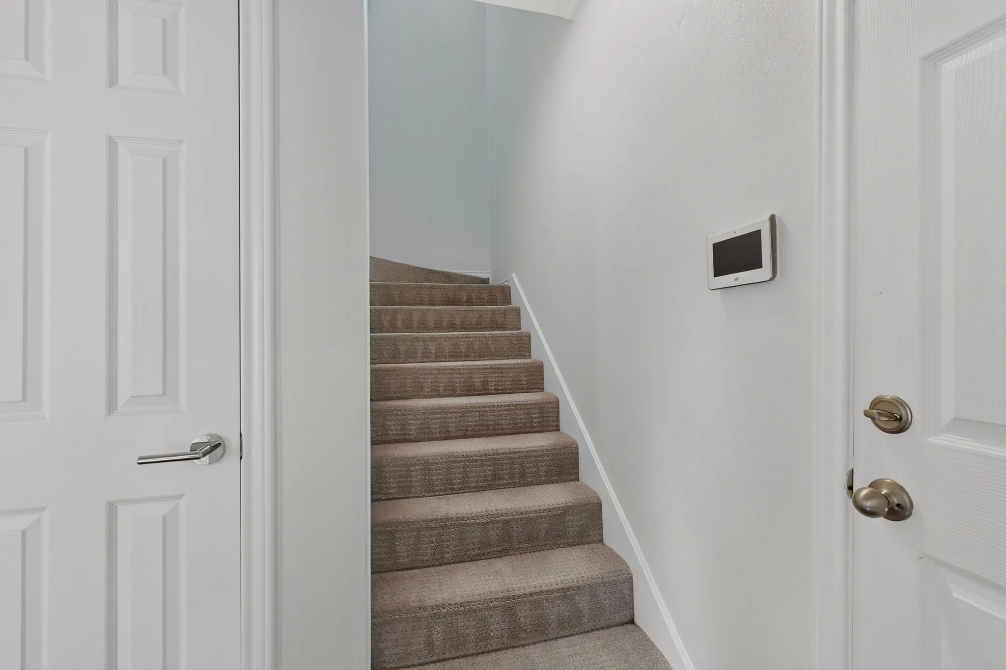 Carpeted staircase with white risers and a light-colored wall