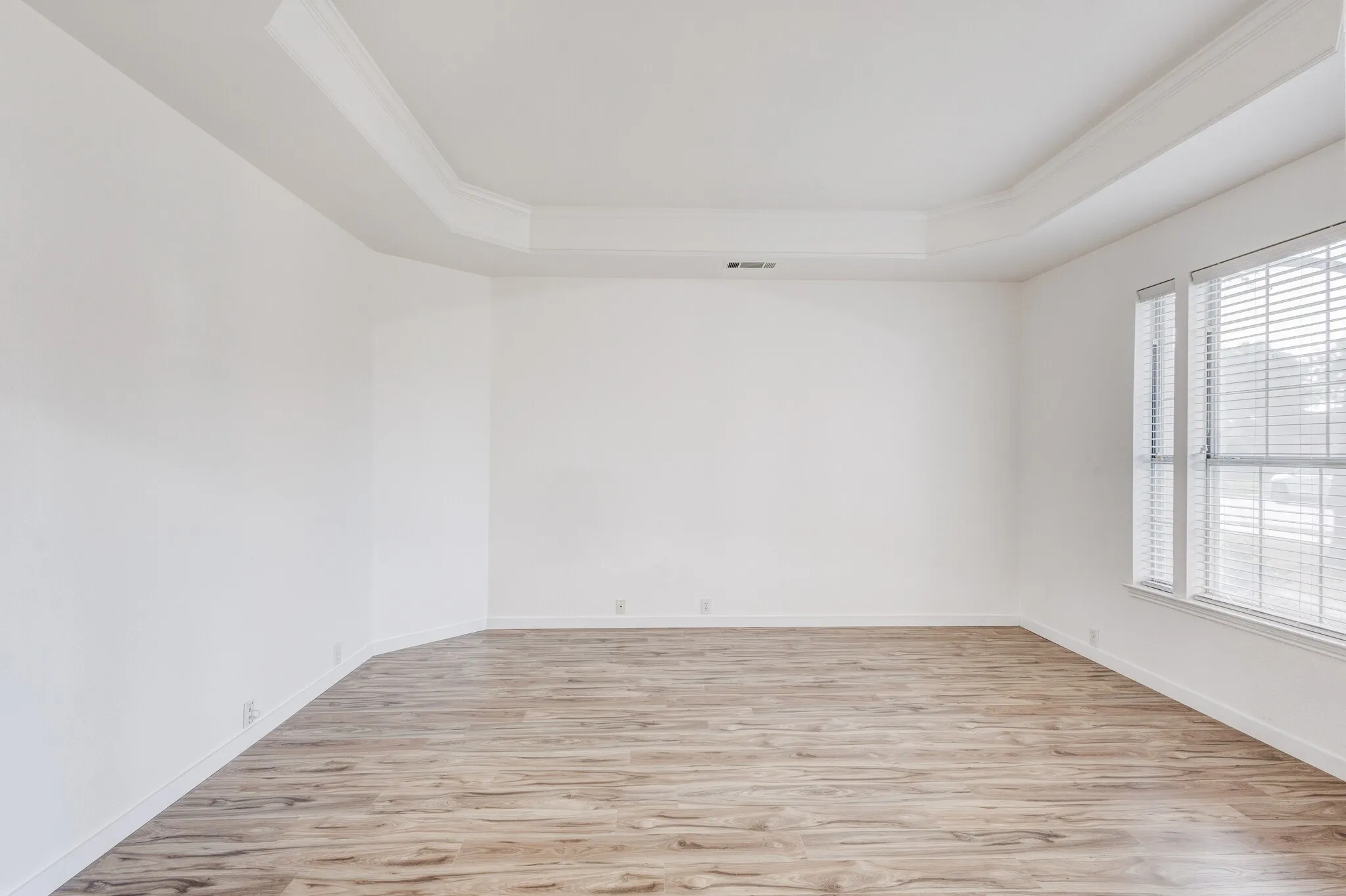 Spare room with a raised ceiling, light hardwood / wood-style flooring, and ornamental molding