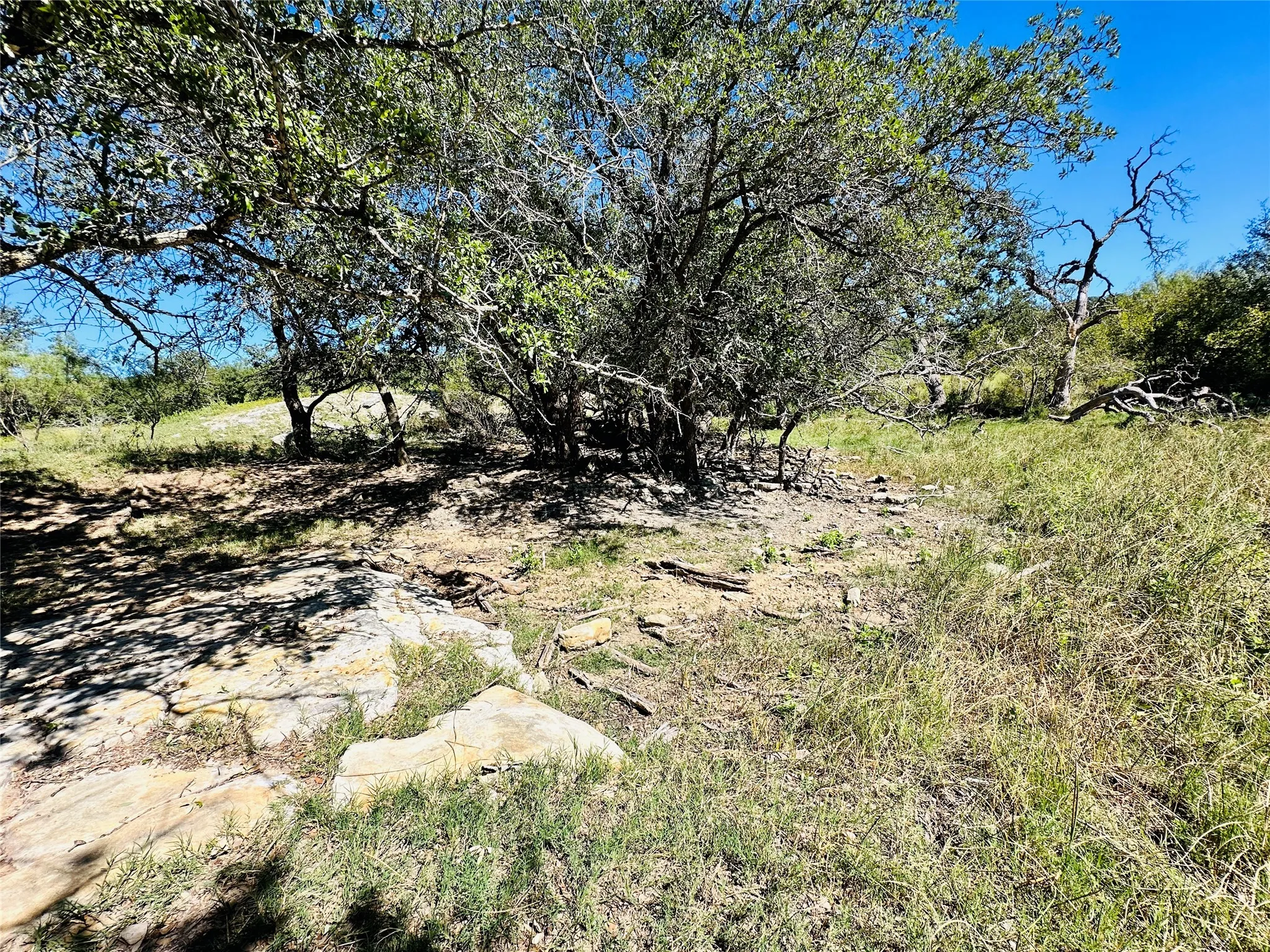 Improved Land For Sale in Callahan County , 8593 State Highway 36 E, Cross Plains, Texas 76443, 0, 0, Garage spaces, 0 Sqft, built in 2013, mls#21404837, Real Estate Agent in Cross Plains, Homes For Sale in Callahan county, Homes For Sale in Cross Plains, Realtor in Cross Plains Texas, Real Estate Brokerage Independent Realty Texas, Luminita Cordes Realtor