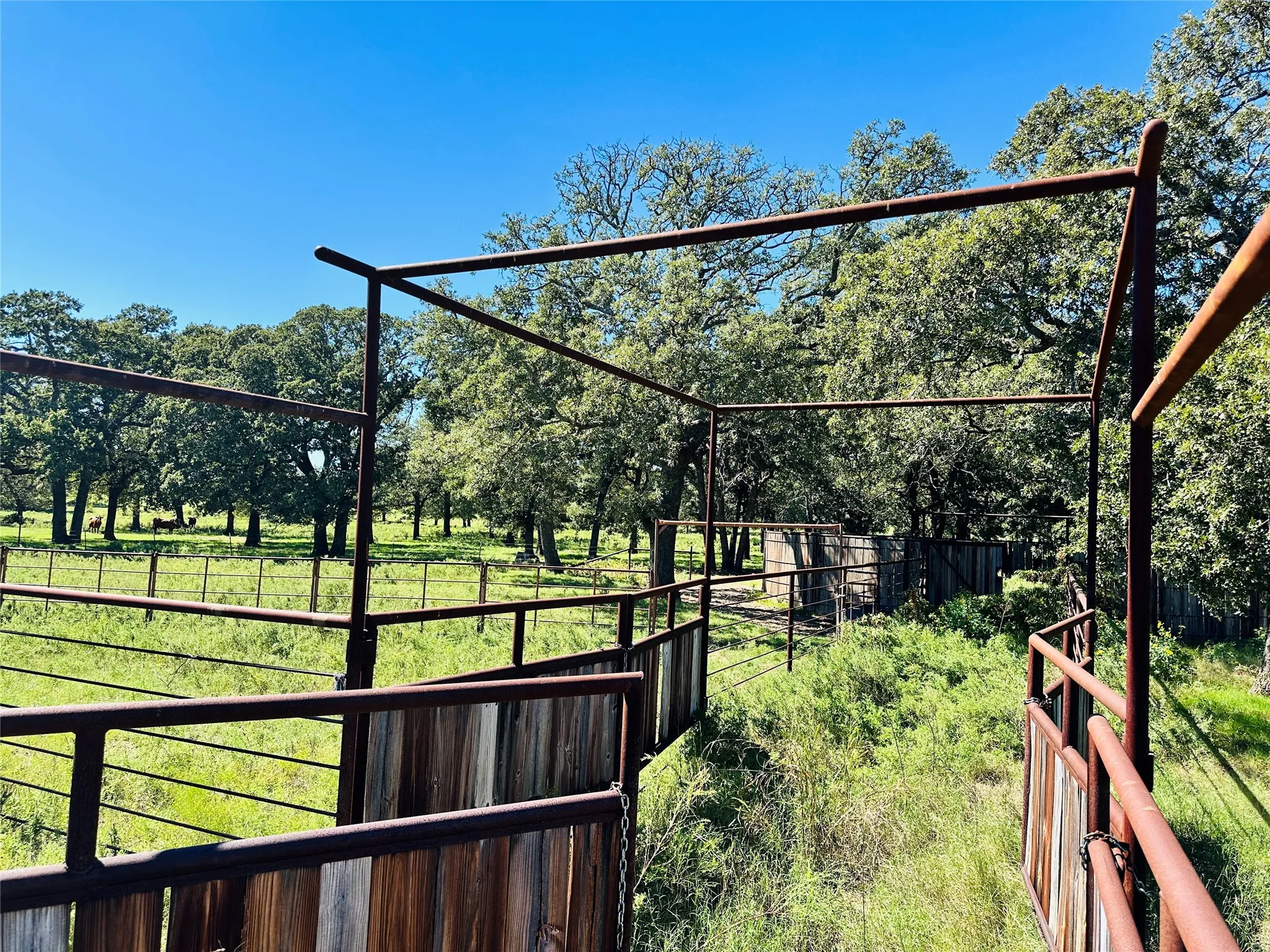 Improved Land For Sale in Callahan County , 8593 State Highway 36 E, Cross Plains, Texas 76443, 0, 0, Garage spaces, 0 Sqft, built in 2013, mls#21404837, Real Estate Agent in Cross Plains, Homes For Sale in Callahan county, Homes For Sale in Cross Plains, Realtor in Cross Plains Texas, Real Estate Brokerage Independent Realty Texas, Luminita Cordes Realtor