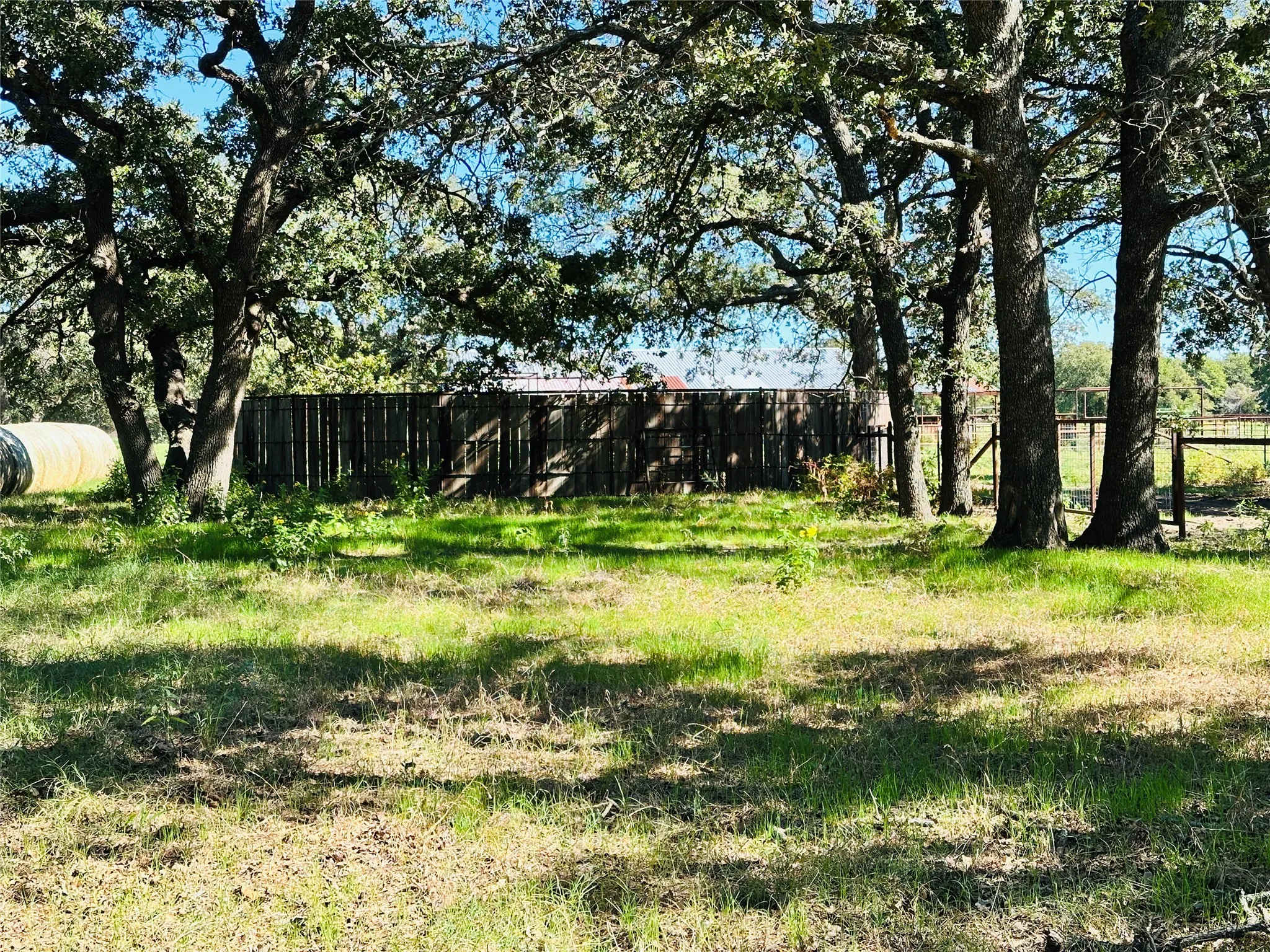 Improved Land For Sale in Callahan County , 8593 State Highway 36 E, Cross Plains, Texas 76443, 0, 0, Garage spaces, 0 Sqft, built in 2013, mls#21404837, Real Estate Agent in Cross Plains, Homes For Sale in Callahan county, Homes For Sale in Cross Plains, Realtor in Cross Plains Texas, Real Estate Brokerage Independent Realty Texas, Luminita Cordes Realtor