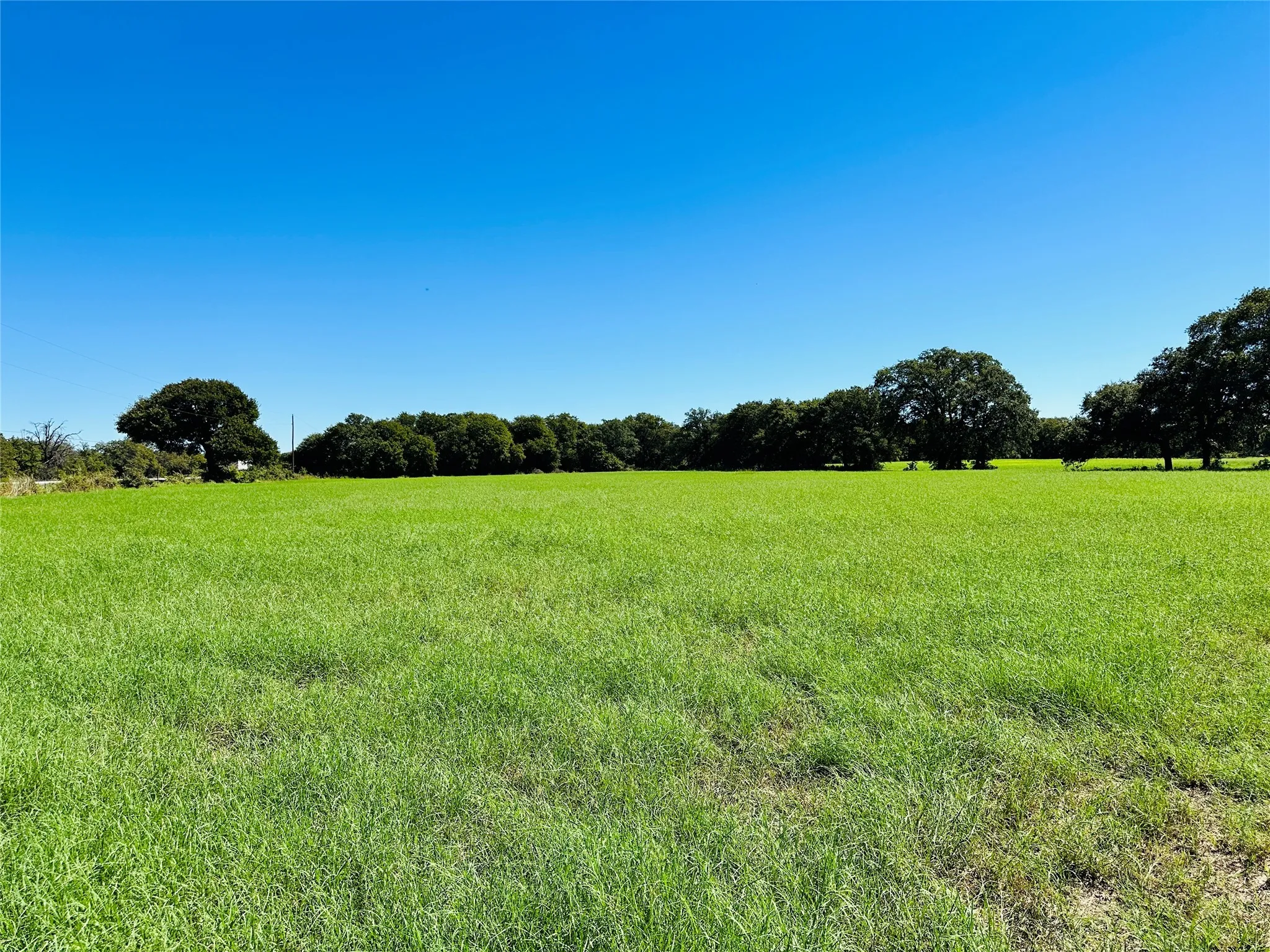 Improved Land For Sale in Callahan County , 8593 State Highway 36 E, Cross Plains, Texas 76443, 0, 0, Garage spaces, 0 Sqft, built in 2013, mls#21404837, Real Estate Agent in Cross Plains, Homes For Sale in Callahan county, Homes For Sale in Cross Plains, Realtor in Cross Plains Texas, Real Estate Brokerage Independent Realty Texas, Luminita Cordes Realtor