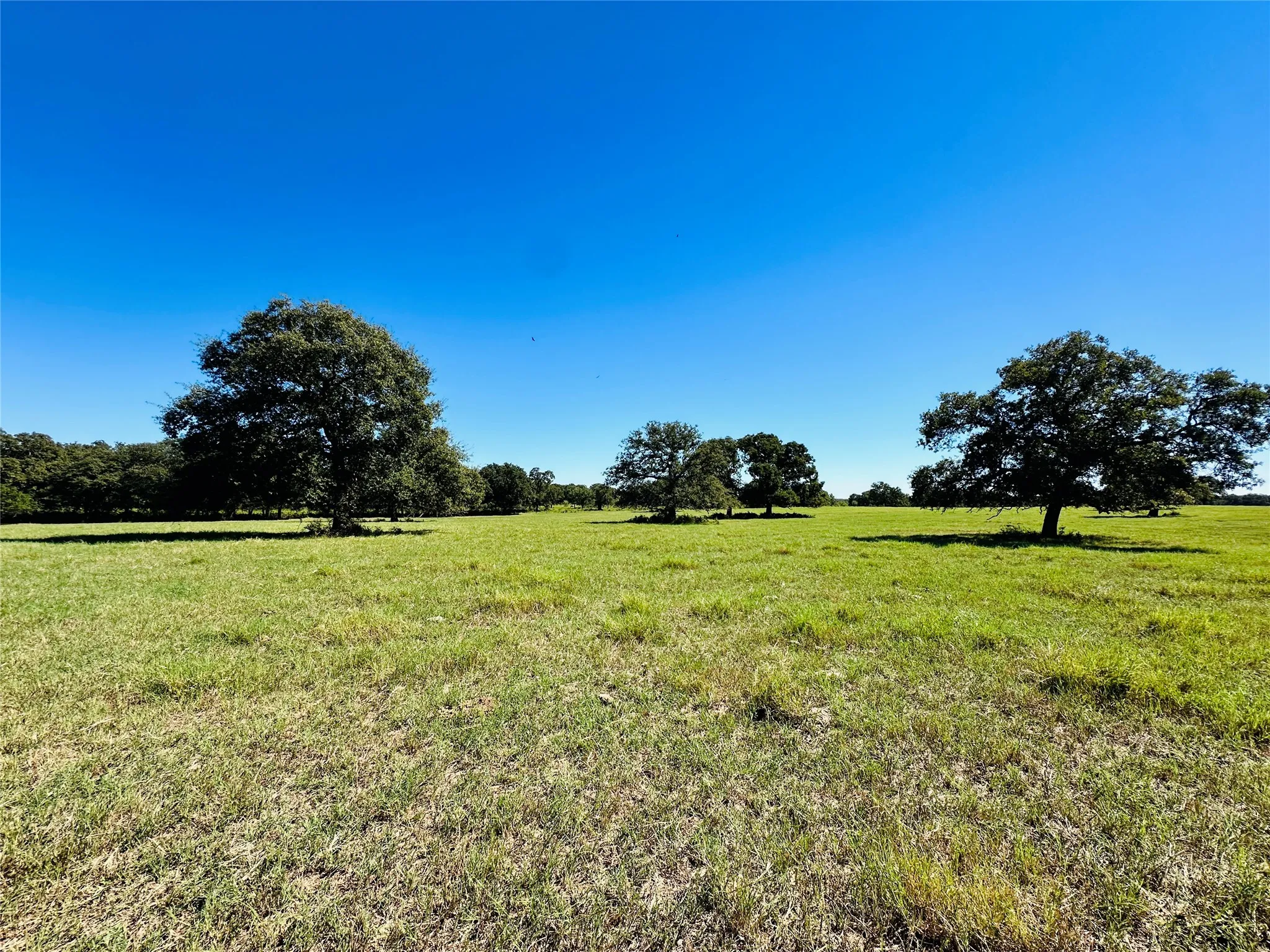 Improved Land For Sale in Callahan County , 8593 State Highway 36 E, Cross Plains, Texas 76443, 0, 0, Garage spaces, 0 Sqft, built in 2013, mls#21404837, Real Estate Agent in Cross Plains, Homes For Sale in Callahan county, Homes For Sale in Cross Plains, Realtor in Cross Plains Texas, Real Estate Brokerage Independent Realty Texas, Luminita Cordes Realtor