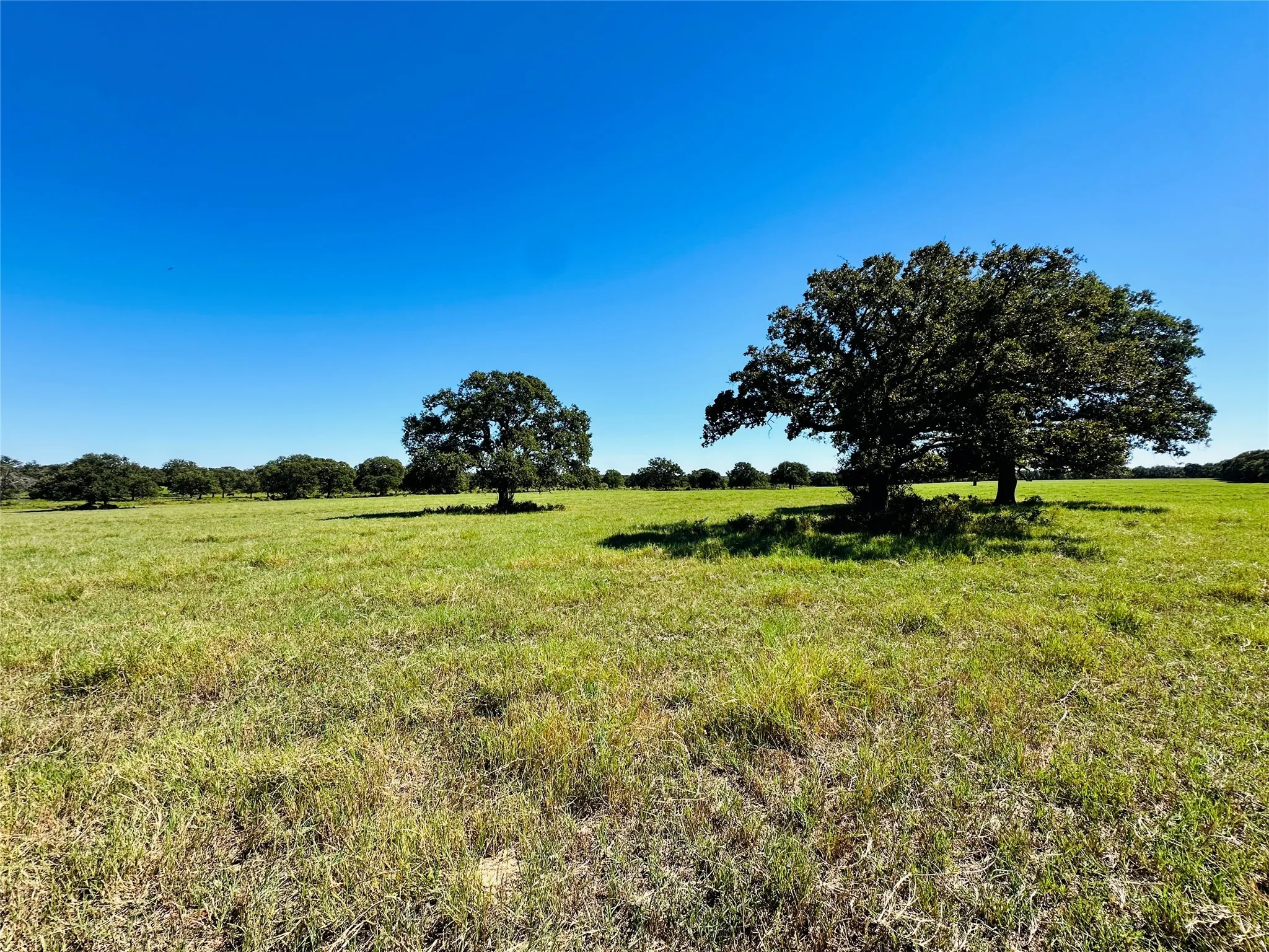 Improved Land For Sale in Callahan County , 8593 State Highway 36 E, Cross Plains, Texas 76443, 0, 0, Garage spaces, 0 Sqft, built in 2013, mls#21404837, Real Estate Agent in Cross Plains, Homes For Sale in Callahan county, Homes For Sale in Cross Plains, Realtor in Cross Plains Texas, Real Estate Brokerage Independent Realty Texas, Luminita Cordes Realtor