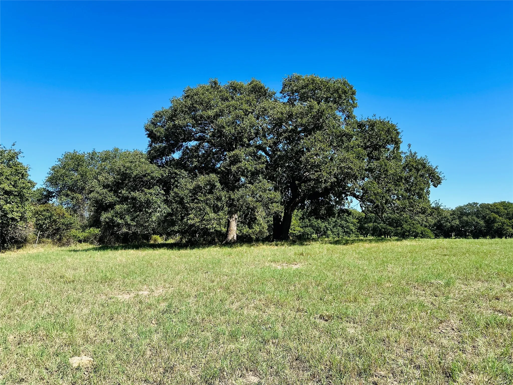 Improved Land For Sale in Callahan County , 8593 State Highway 36 E, Cross Plains, Texas 76443, 0, 0, Garage spaces, 0 Sqft, built in 2013, mls#21404837, Real Estate Agent in Cross Plains, Homes For Sale in Callahan county, Homes For Sale in Cross Plains, Realtor in Cross Plains Texas, Real Estate Brokerage Independent Realty Texas, Luminita Cordes Realtor