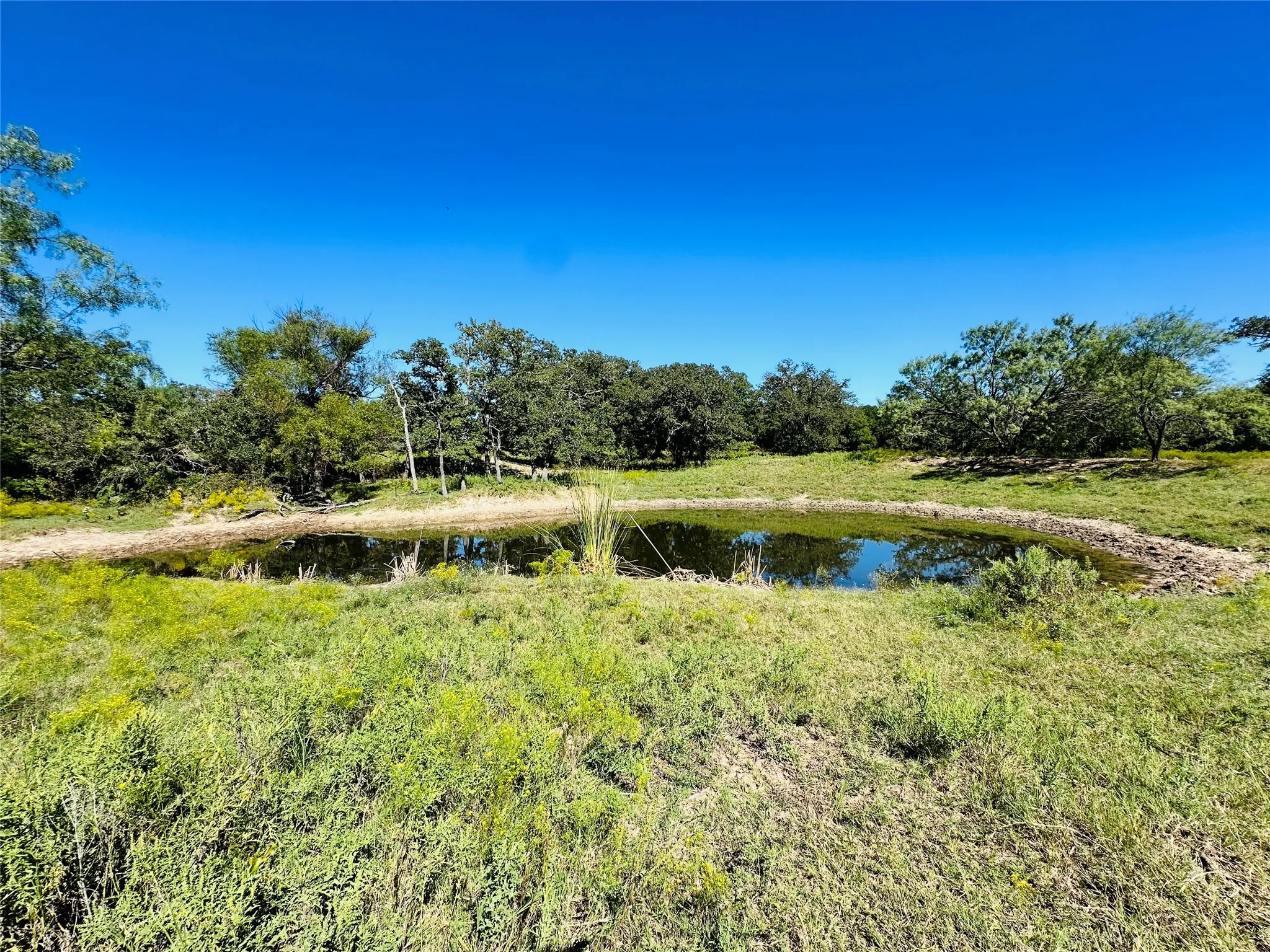 Improved Land For Sale in Callahan County , 8593 State Highway 36 E, Cross Plains, Texas 76443, 0, 0, Garage spaces, 0 Sqft, built in 2013, mls#21404837, Real Estate Agent in Cross Plains, Homes For Sale in Callahan county, Homes For Sale in Cross Plains, Realtor in Cross Plains Texas, Real Estate Brokerage Independent Realty Texas, Luminita Cordes Realtor