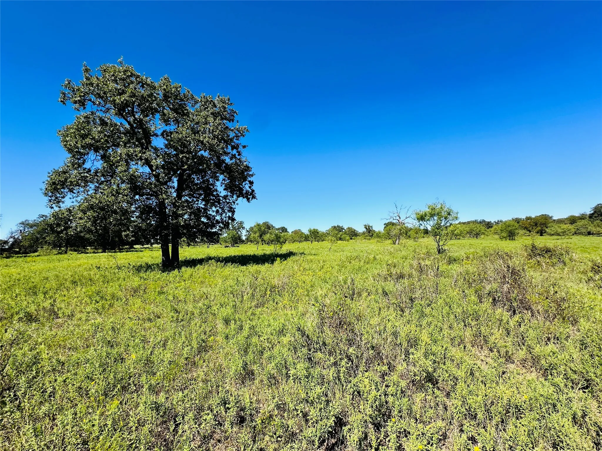 Improved Land For Sale in Callahan County , 8593 State Highway 36 E, Cross Plains, Texas 76443, 0, 0, Garage spaces, 0 Sqft, built in 2013, mls#21404837, Real Estate Agent in Cross Plains, Homes For Sale in Callahan county, Homes For Sale in Cross Plains, Realtor in Cross Plains Texas, Real Estate Brokerage Independent Realty Texas, Luminita Cordes Realtor