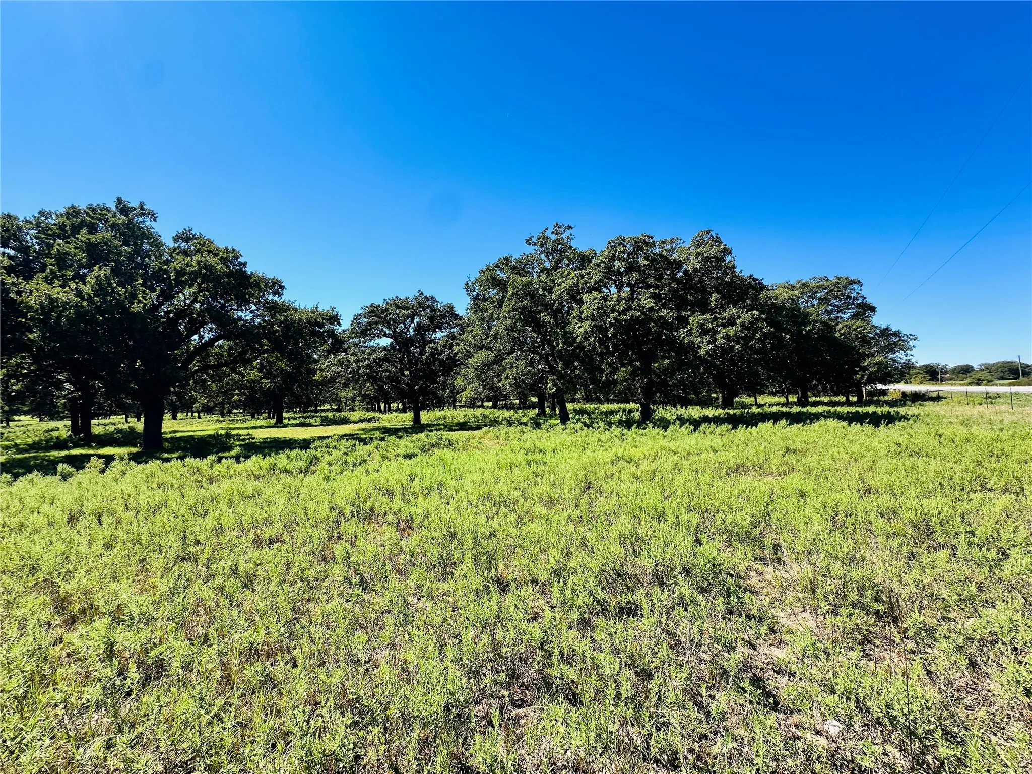 Improved Land For Sale in Callahan County , 8593 State Highway 36 E, Cross Plains, Texas 76443, 0, 0, Garage spaces, 0 Sqft, built in 2013, mls#21404837, Real Estate Agent in Cross Plains, Homes For Sale in Callahan county, Homes For Sale in Cross Plains, Realtor in Cross Plains Texas, Real Estate Brokerage Independent Realty Texas, Luminita Cordes Realtor