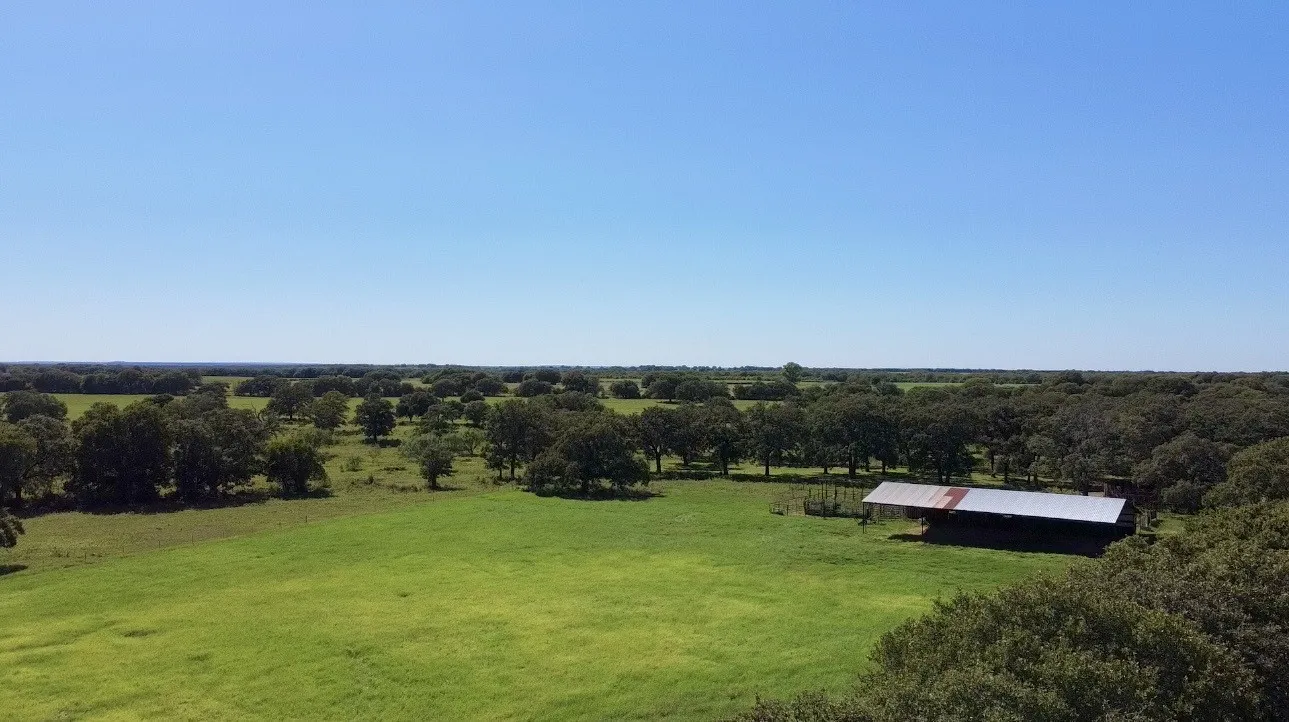 Improved Land For Sale in Callahan County , 8593 State Highway 36 E, Cross Plains, Texas 76443, 0, 0, Garage spaces, 0 Sqft, built in 2013, mls#21404837, Real Estate Agent in Cross Plains, Homes For Sale in Callahan county, Homes For Sale in Cross Plains, Realtor in Cross Plains Texas, Real Estate Brokerage Independent Realty Texas, Luminita Cordes Realtor