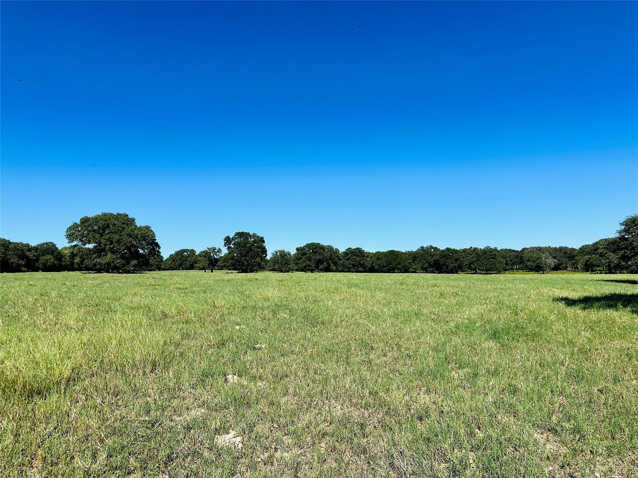 Improved Land For Sale in Callahan County , 8593 State Highway 36 E, Cross Plains, Texas 76443, 0, 0, Garage spaces, 0 Sqft, built in 2013, mls#21404837, Real Estate Agent in Cross Plains, Homes For Sale in Callahan county, Homes For Sale in Cross Plains, Realtor in Cross Plains Texas, Real Estate Brokerage Independent Realty Texas, Luminita Cordes Realtor