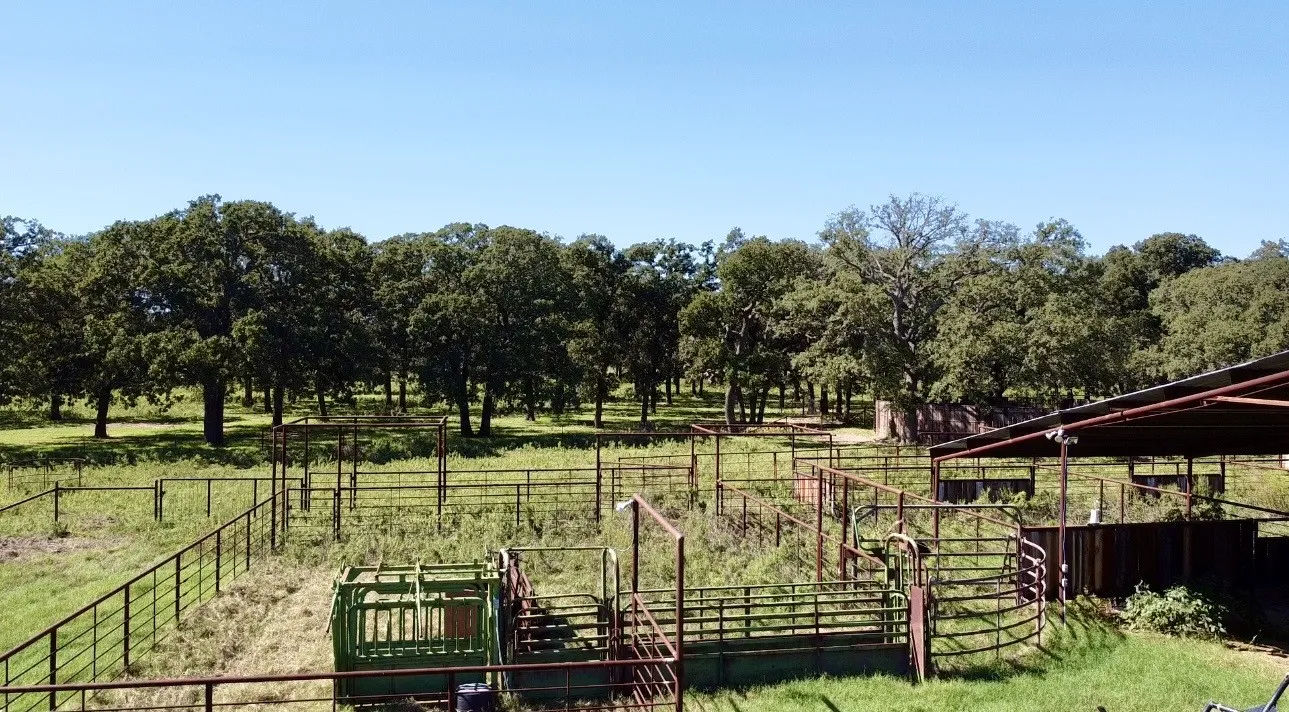 Improved Land For Sale in Callahan County , 8593 State Highway 36 E, Cross Plains, Texas 76443, 0, 0, Garage spaces, 0 Sqft, built in 2013, mls#21404837, Real Estate Agent in Cross Plains, Homes For Sale in Callahan county, Homes For Sale in Cross Plains, Realtor in Cross Plains Texas, Real Estate Brokerage Independent Realty Texas, Luminita Cordes Realtor