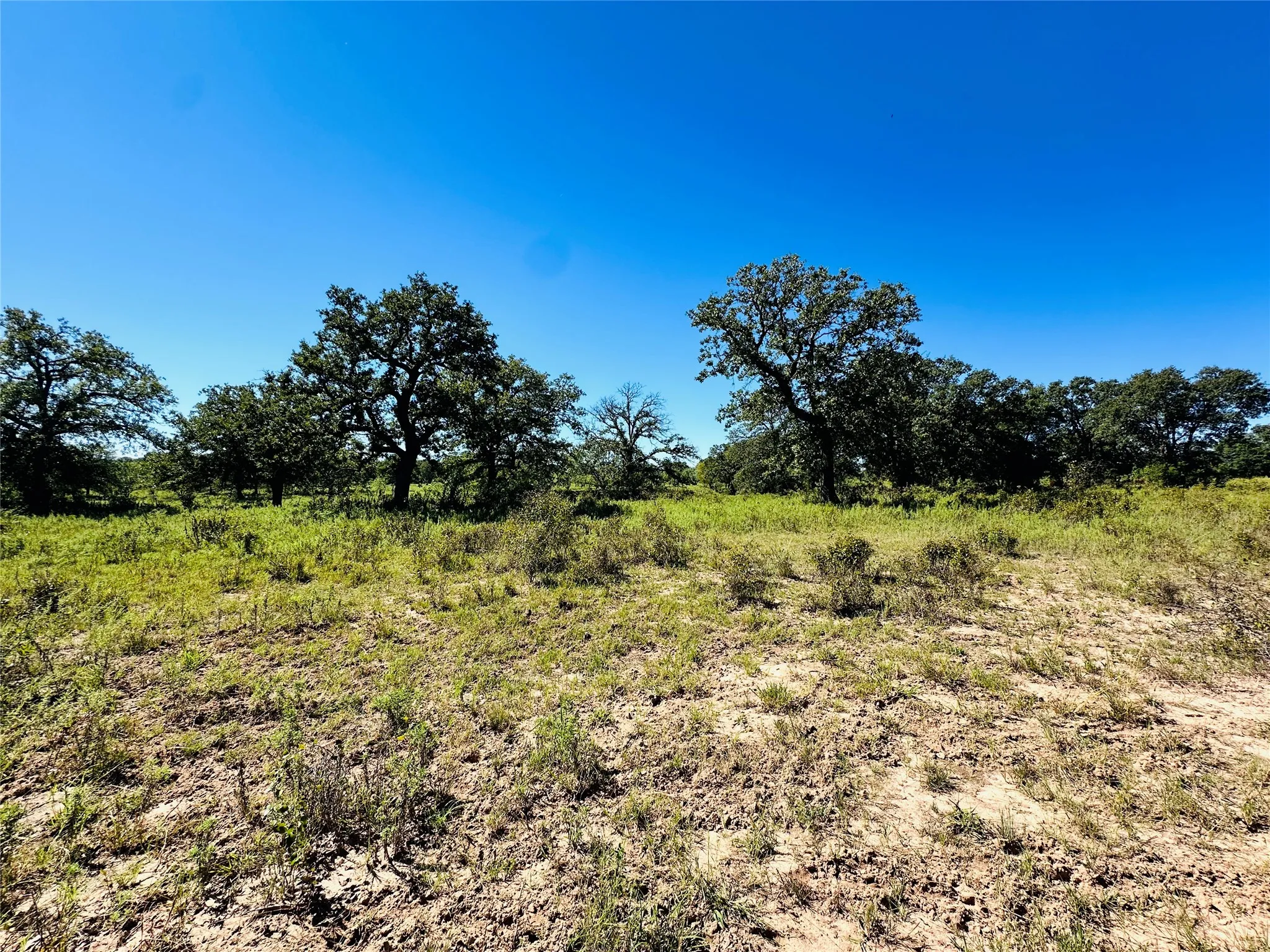 Improved Land For Sale in Callahan County , 8593 State Highway 36 E, Cross Plains, Texas 76443, 0, 0, Garage spaces, 0 Sqft, built in 2013, mls#21404837, Real Estate Agent in Cross Plains, Homes For Sale in Callahan county, Homes For Sale in Cross Plains, Realtor in Cross Plains Texas, Real Estate Brokerage Independent Realty Texas, Luminita Cordes Realtor